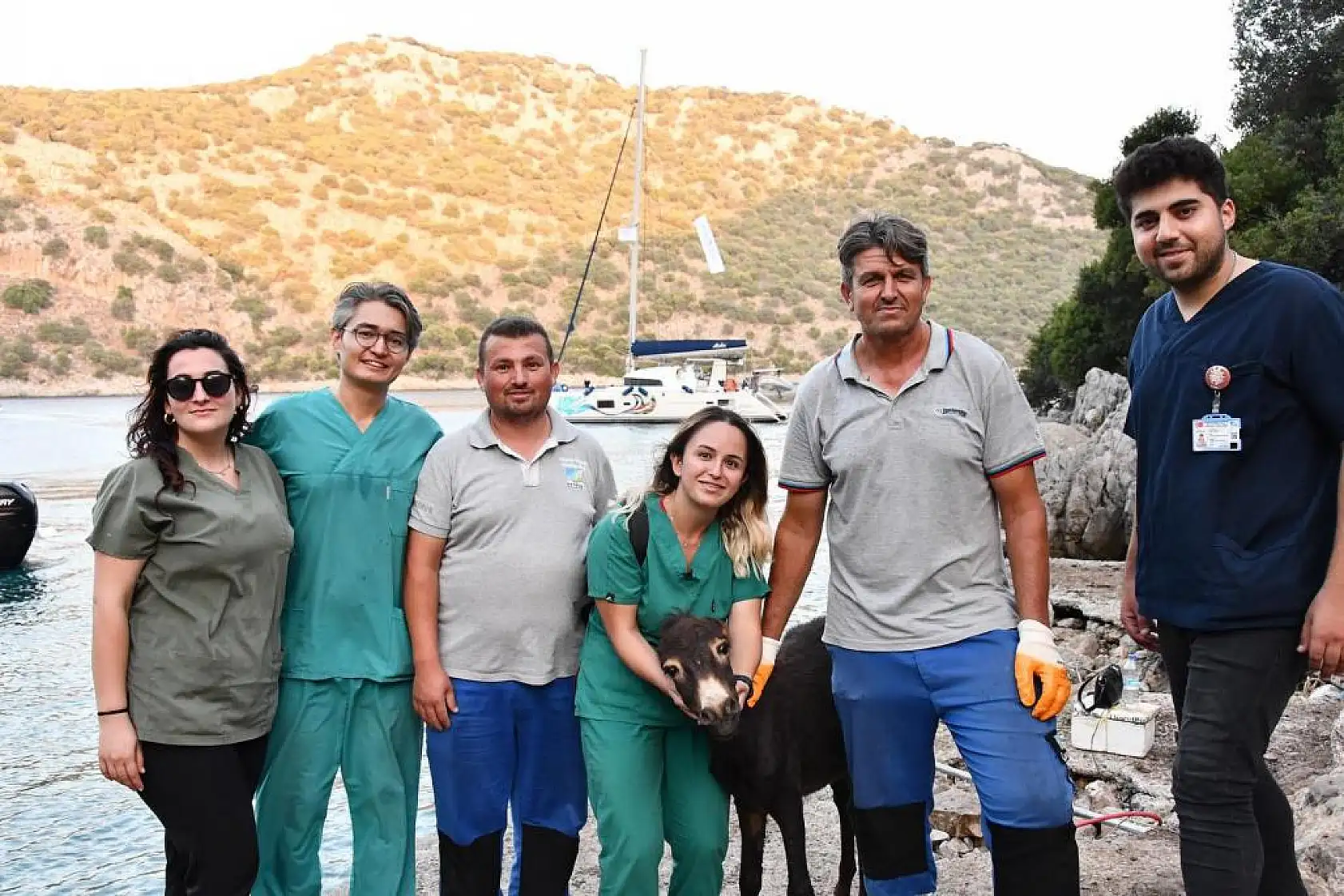 Kayalıklardan Düşen Eşeği Belediye Ekipleri Kurtardı