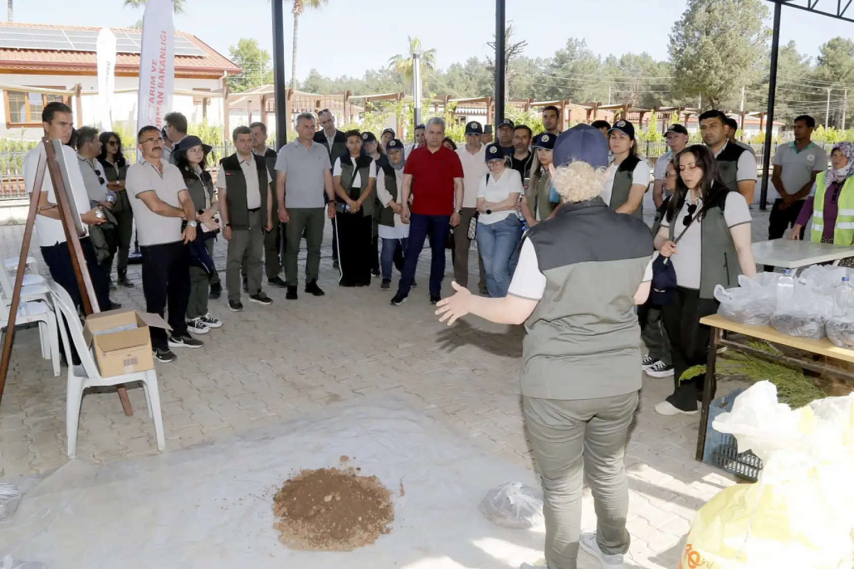 Fethiye'de ağaç ıslahı ve mekanizasyon çalışmaları ele alındı