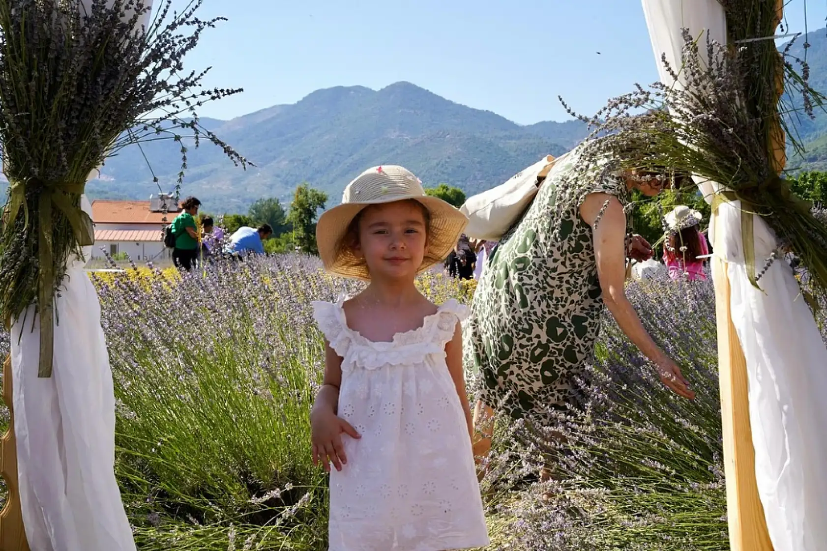 Fethiye'de Lavanta Hasadı Renkli Görüntülerle Gerçekleşti
