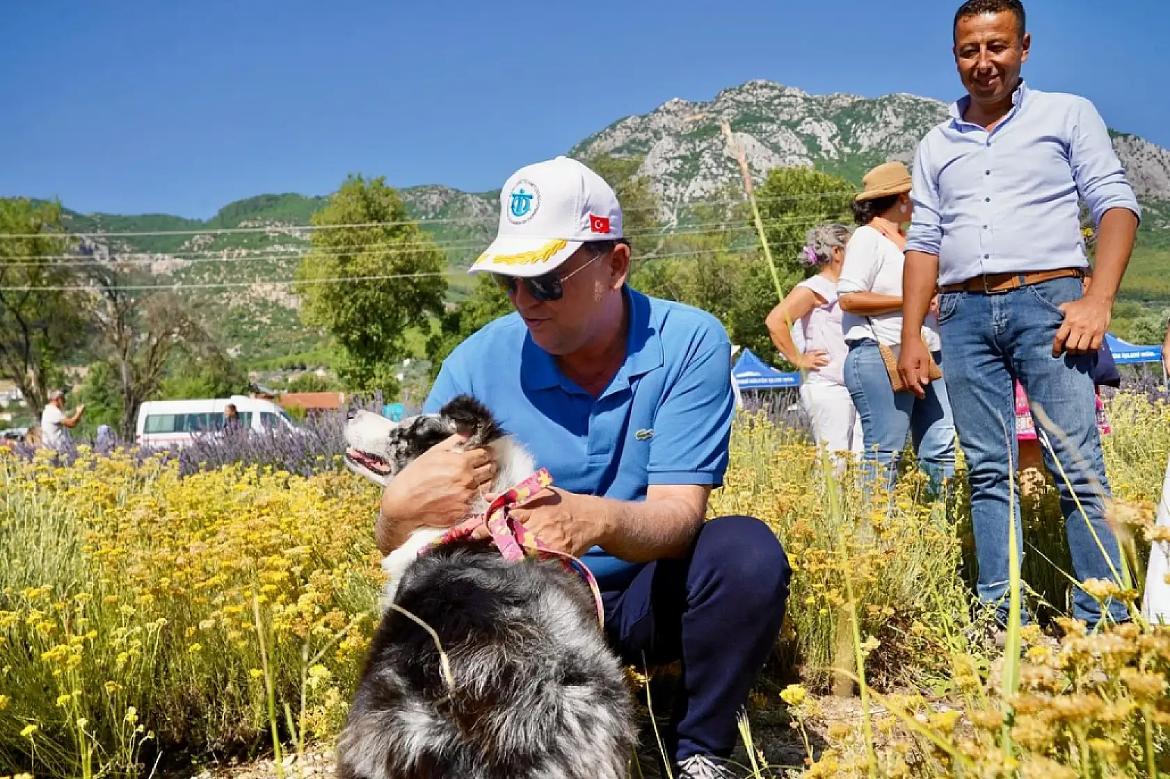 Fethiye'de Lavanta Hasadı Renkli Görüntülerle Gerçekleşti