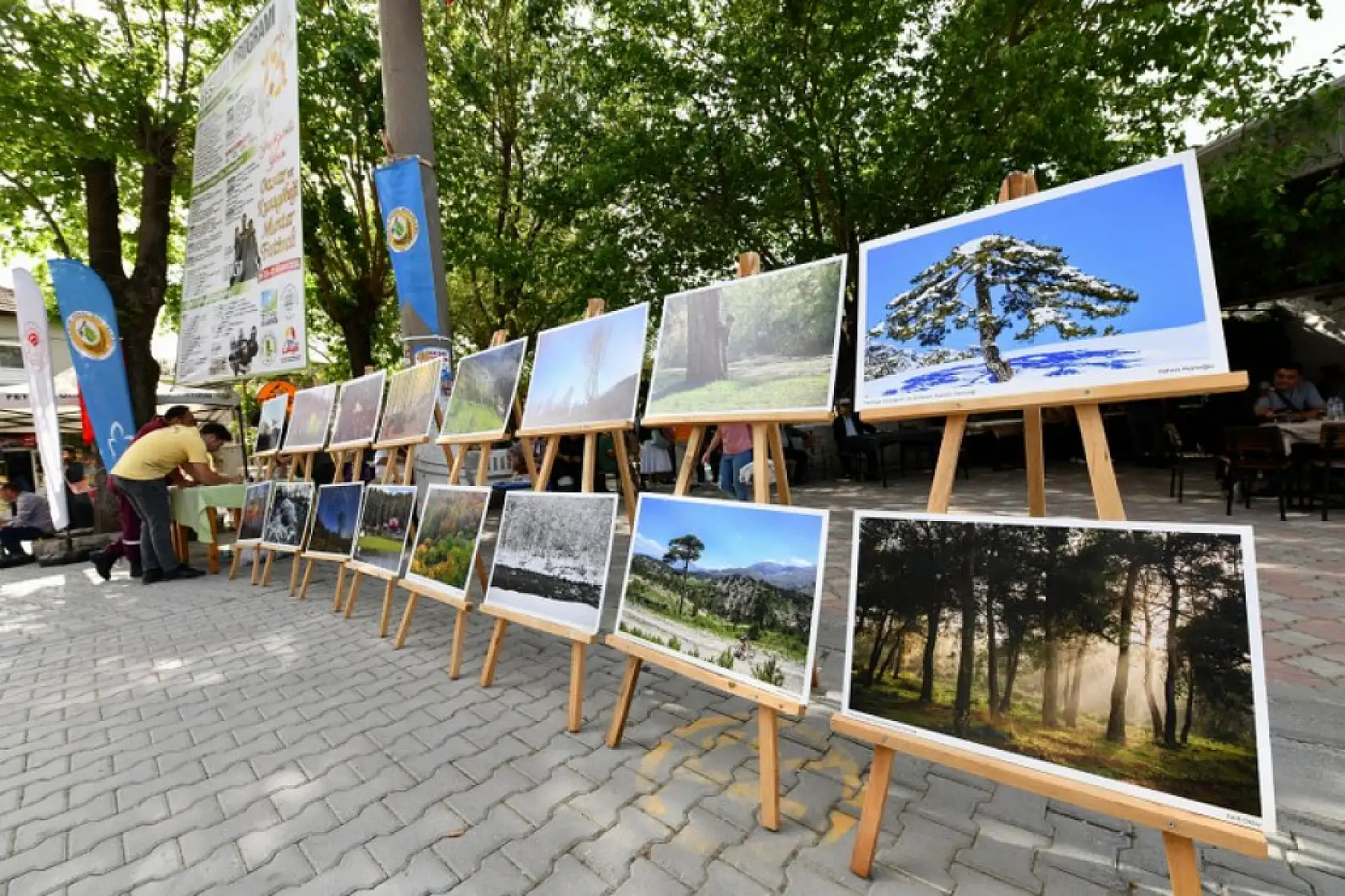 Dastar ve Kuzugöbeği Mantar Festivali Rengarenk Görüntülerle Başladı