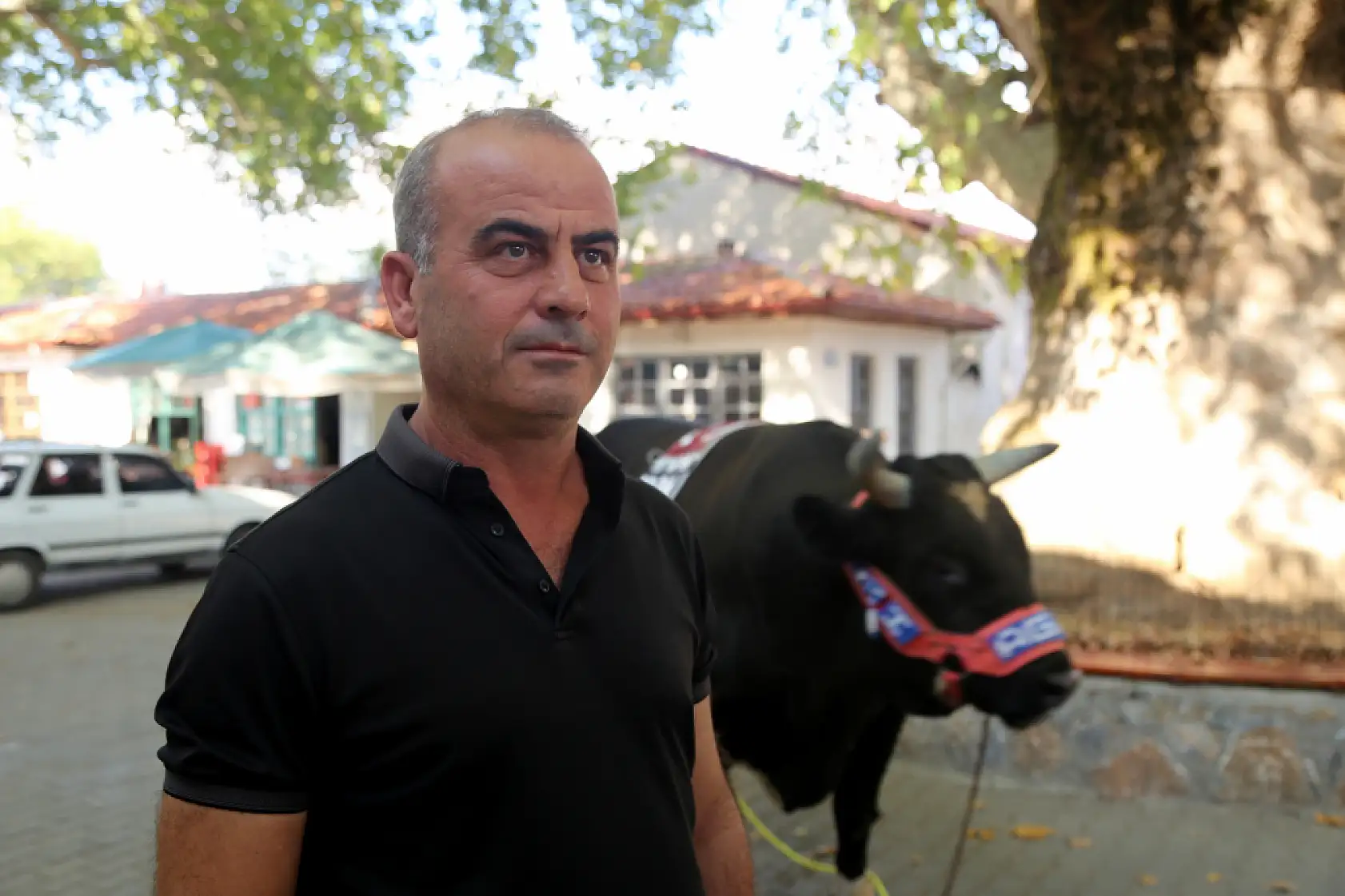 Muğla'da boğa güreşinden elde edilen gelir hasta ve engelliler için kullanıldı