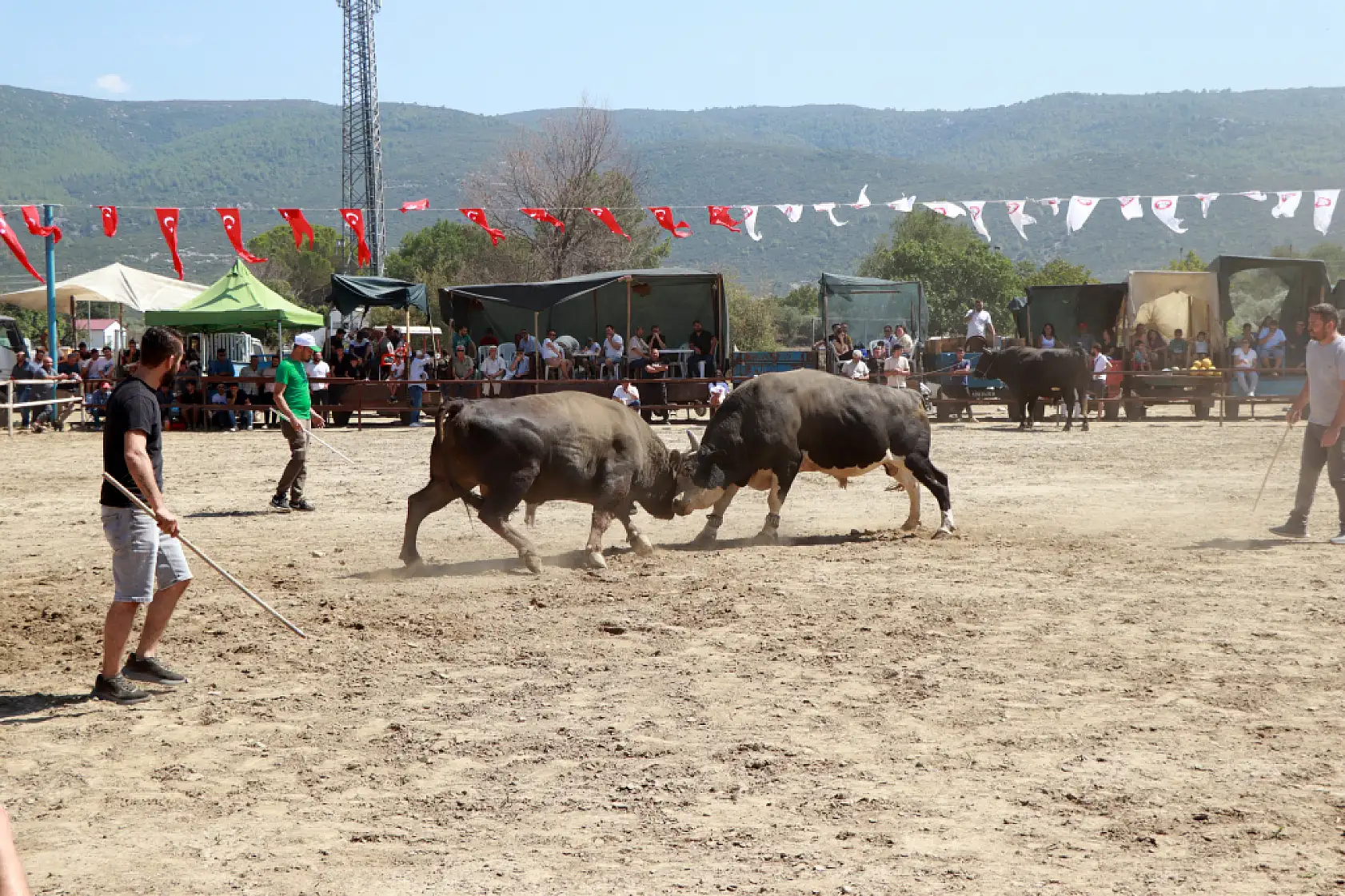 Muğla'da boğa güreşinden elde edilen gelir hasta ve engelliler için kullanıldı
