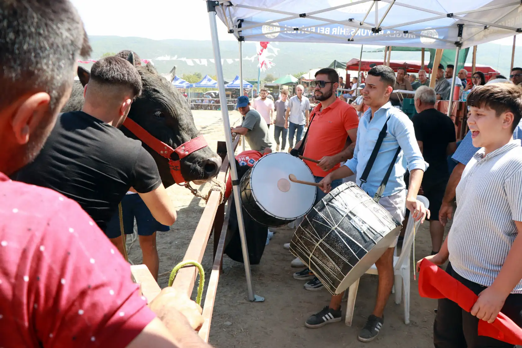 Muğla'da boğa güreşinden elde edilen gelir hasta ve engelliler için kullanıldı