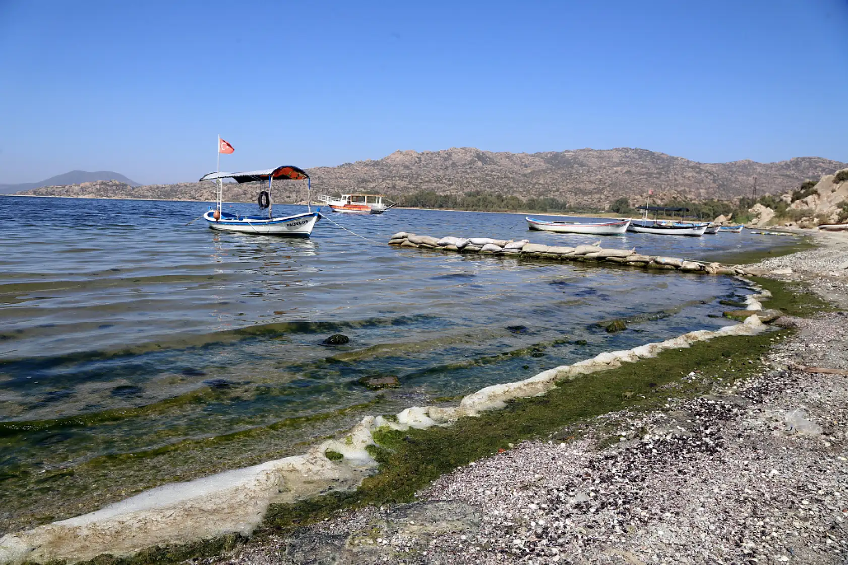 Ege Bölgesi'nin en büyük doğal gölü Bafa, kuraklığın etkisiyle 30 metre çekildi