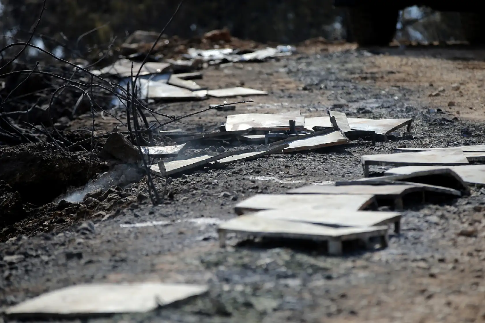 Menteşe'de çıkan orman yangınında 120 arı kovanı zarar gördü