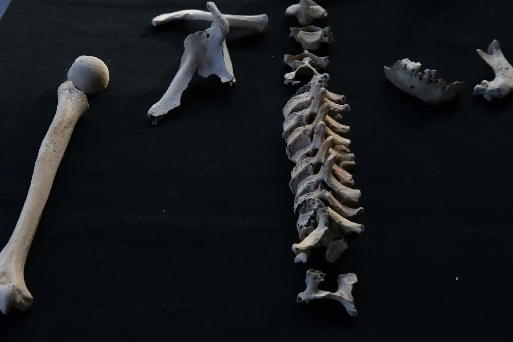 Stratonikeia'da bulunan iskeletlerde arkeogenetik çalışmalar yapılıyor