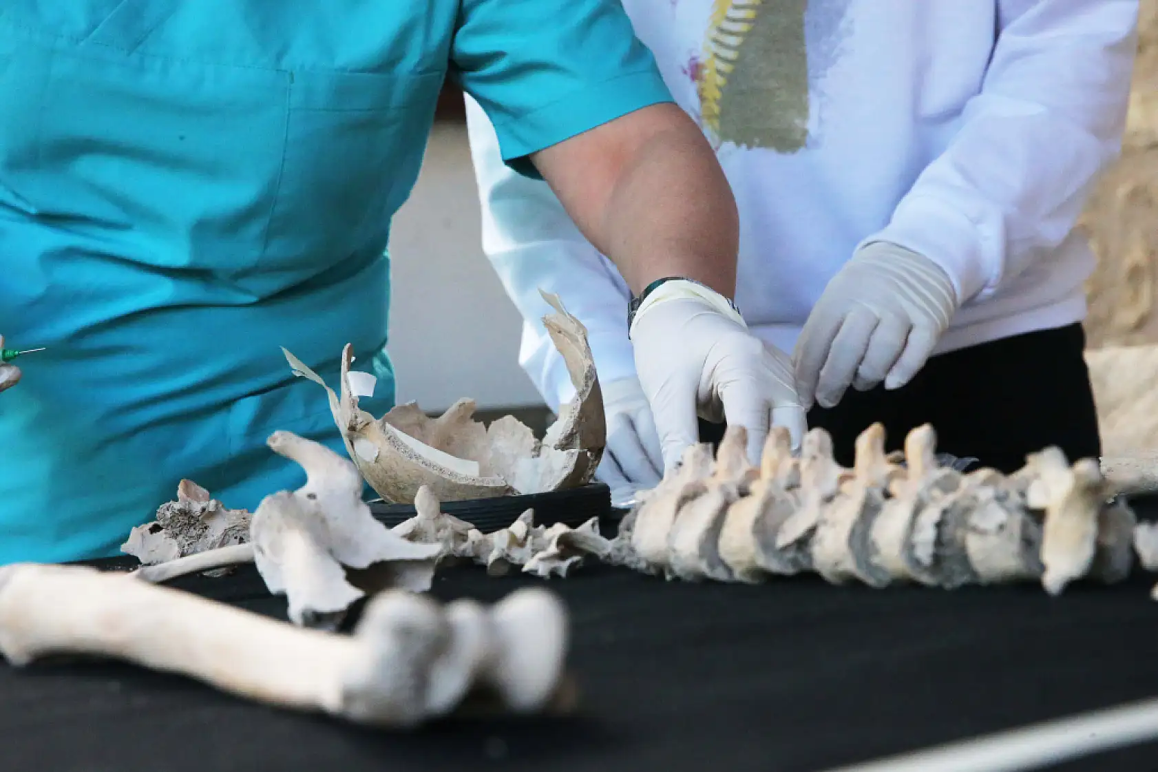 Stratonikeia'da bulunan iskeletlerde arkeogenetik çalışmalar yapılıyor