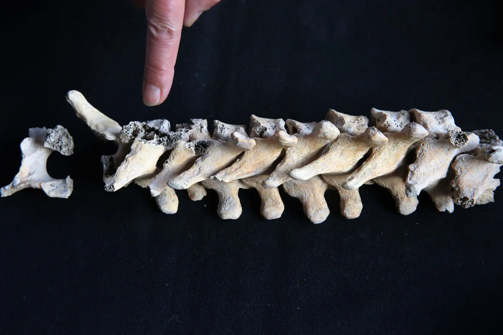 Stratonikeia'da bulunan iskeletlerde arkeogenetik çalışmalar yapılıyor