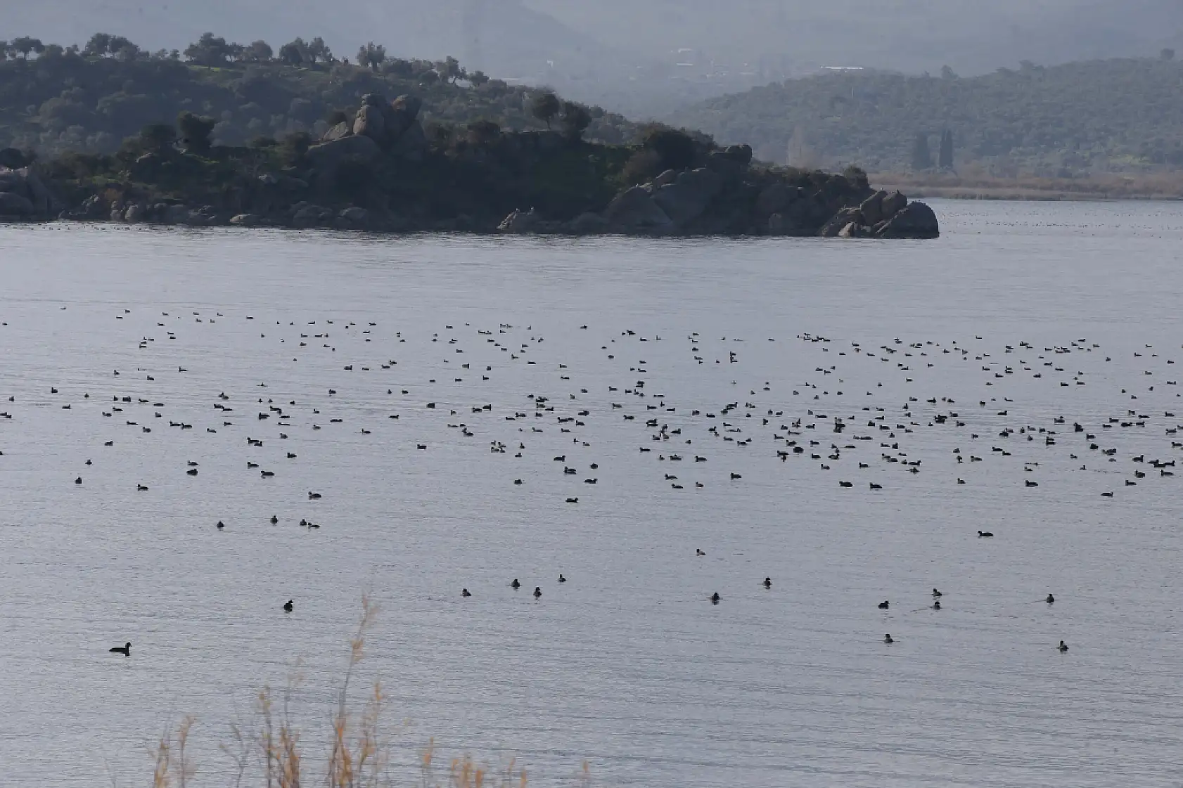 Muğla ve çevresindeki yağış bereketi Bafa Gölü'ne nefes aldırdı