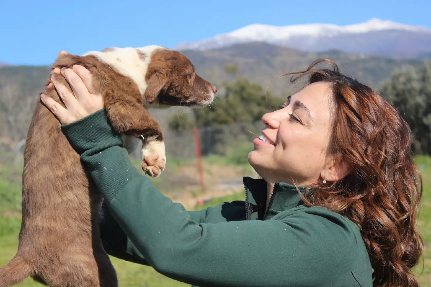 Hollanda'da yaşayan 3 Türk kadın, sahipsiz hayvanlar için İzmir'de barınak kurdu