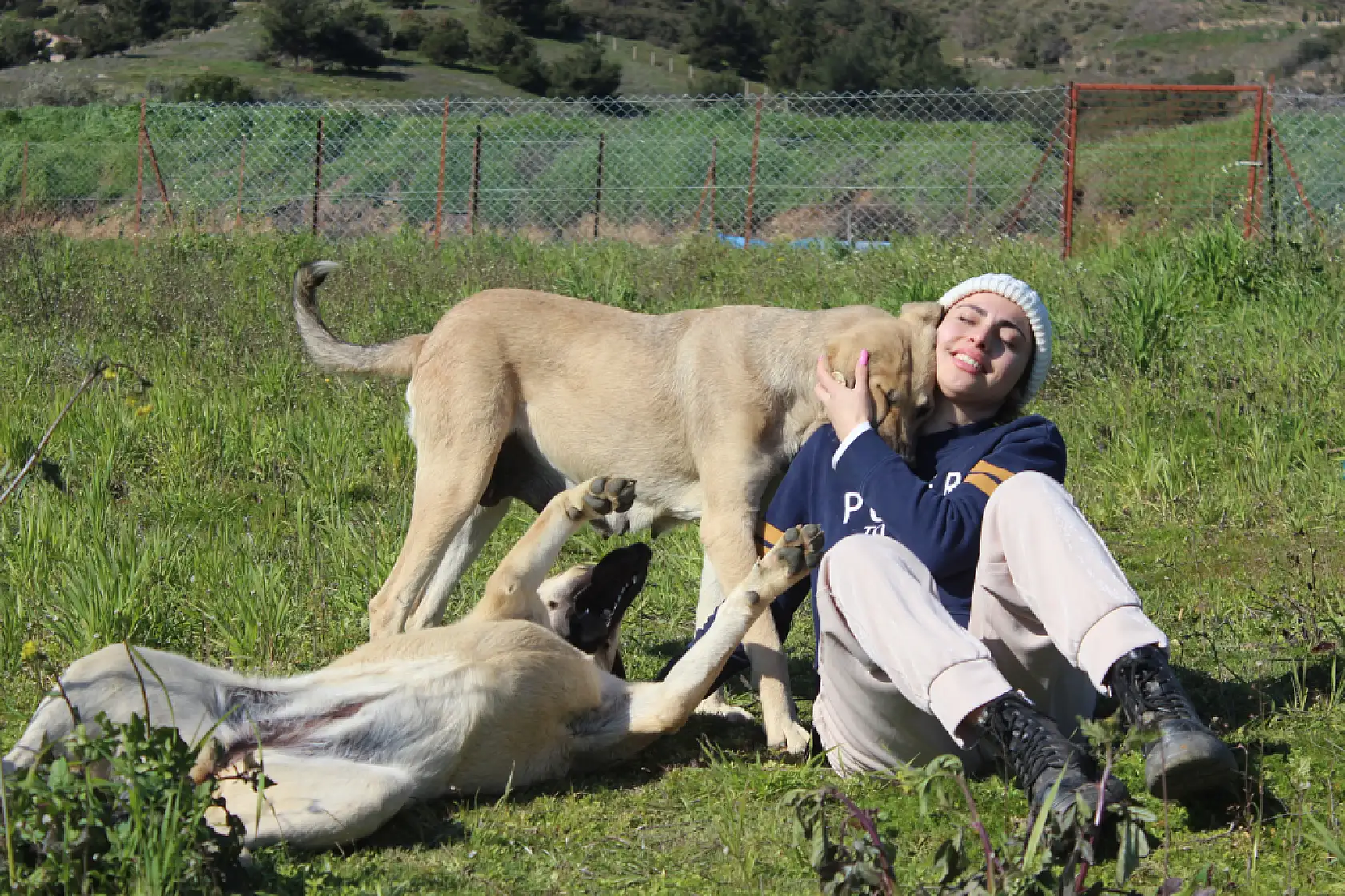 Hollanda'da yaşayan 3 Türk kadın, sahipsiz hayvanlar için İzmir'de barınak kurdu
