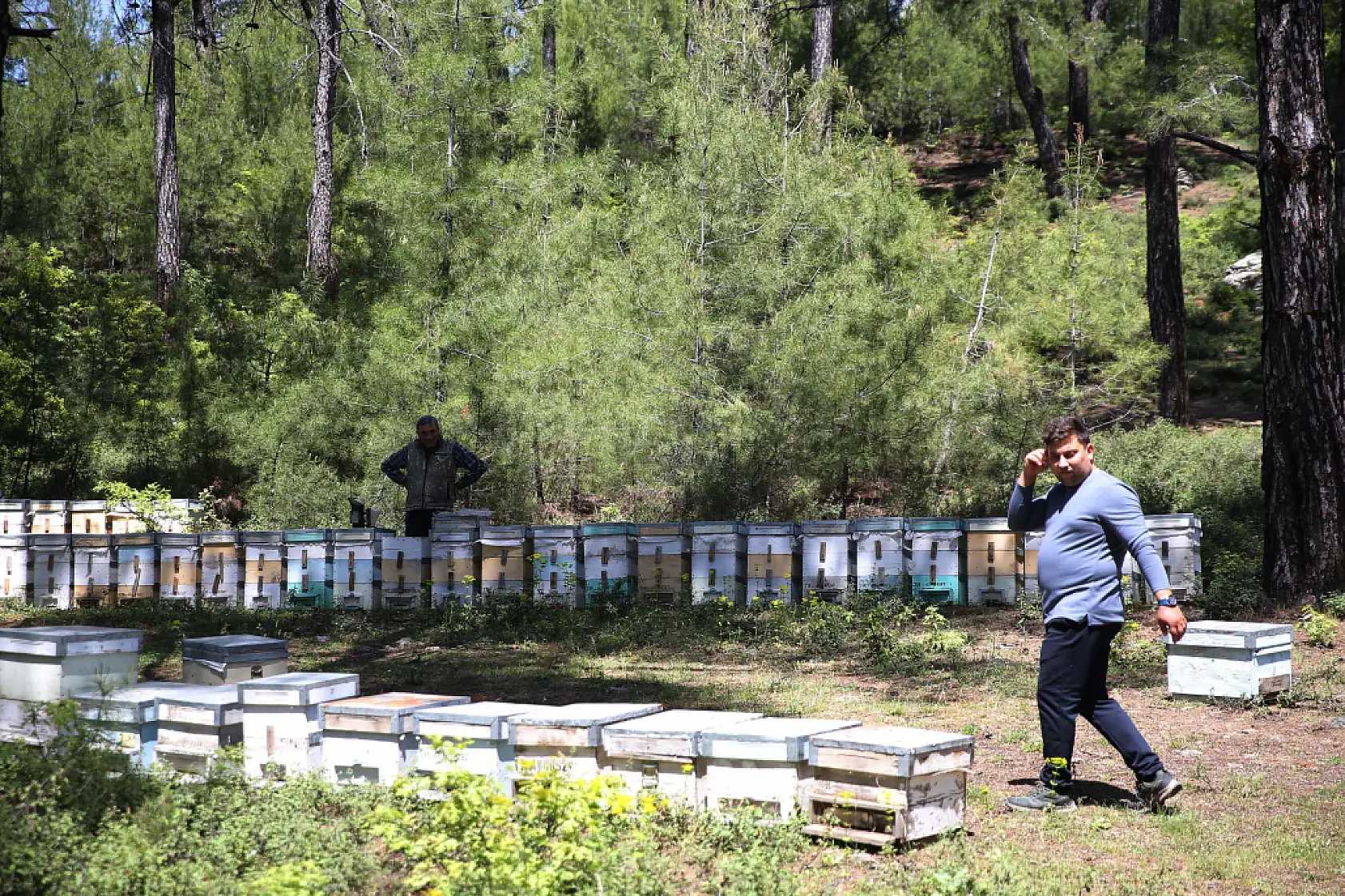 Muğla'da  Arıcılık yapan genç çiftçi kendi ürünlerini aracısız satmak istiyor