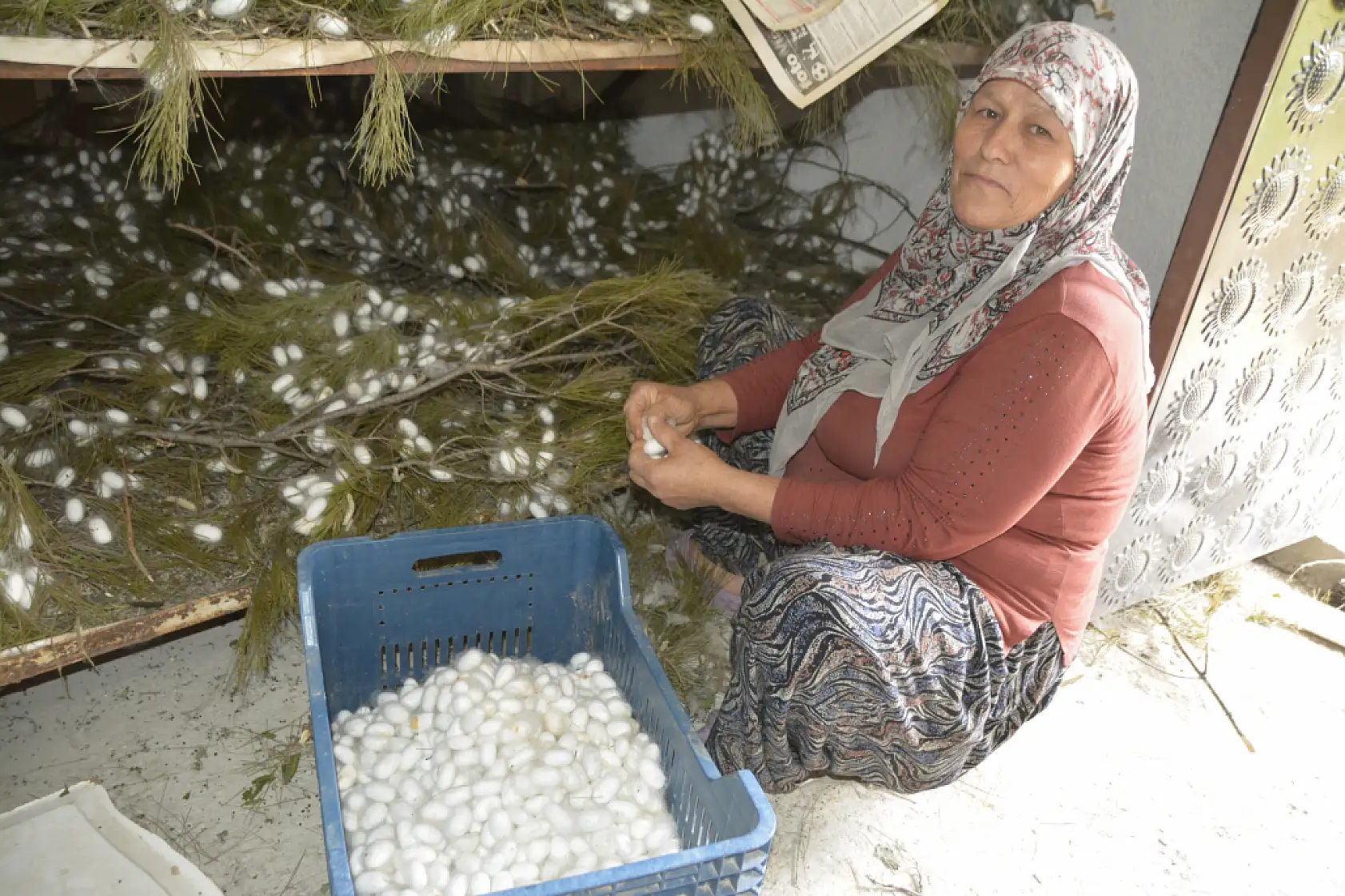 Seydikemer'de anne ile kızı devlet desteğiyle ipek böceği yetiştiricisi oldu