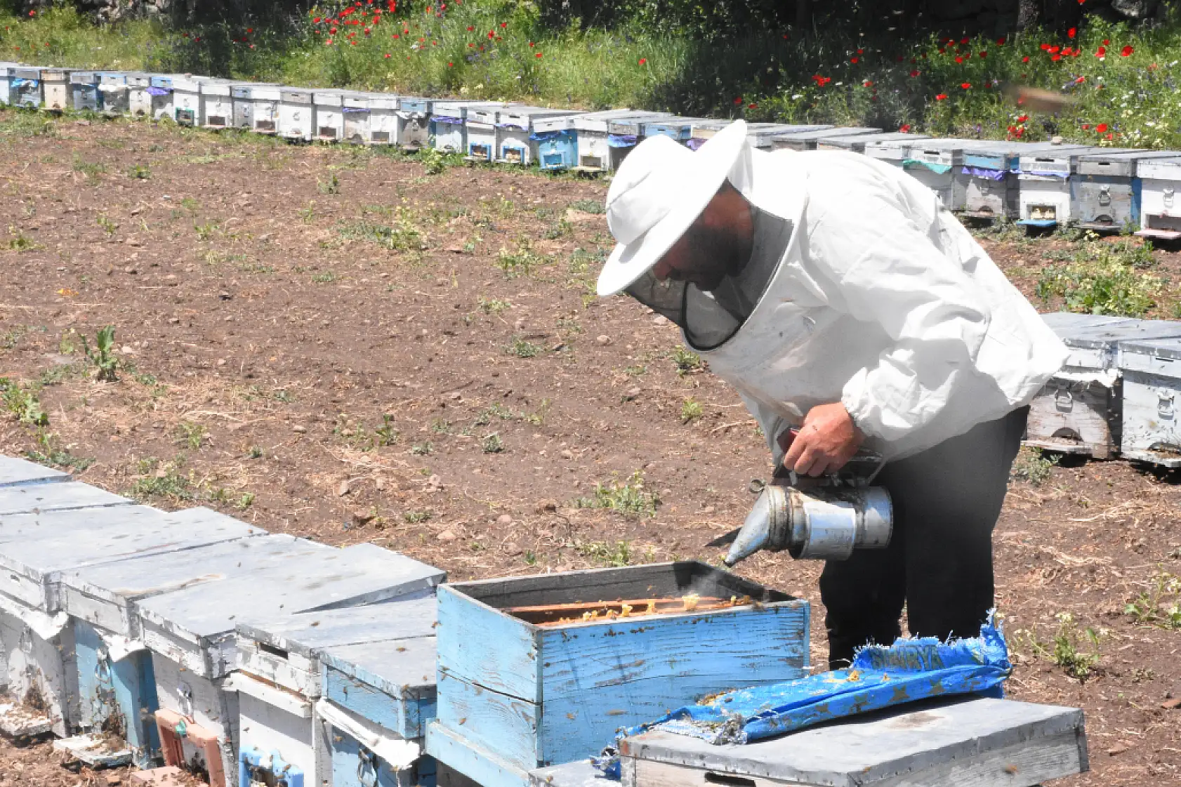Muğlalı Arıcılar Kocatepe Yaylalarında Kaliteli Çiçek Balı Üretimine Hazırlanıyor
