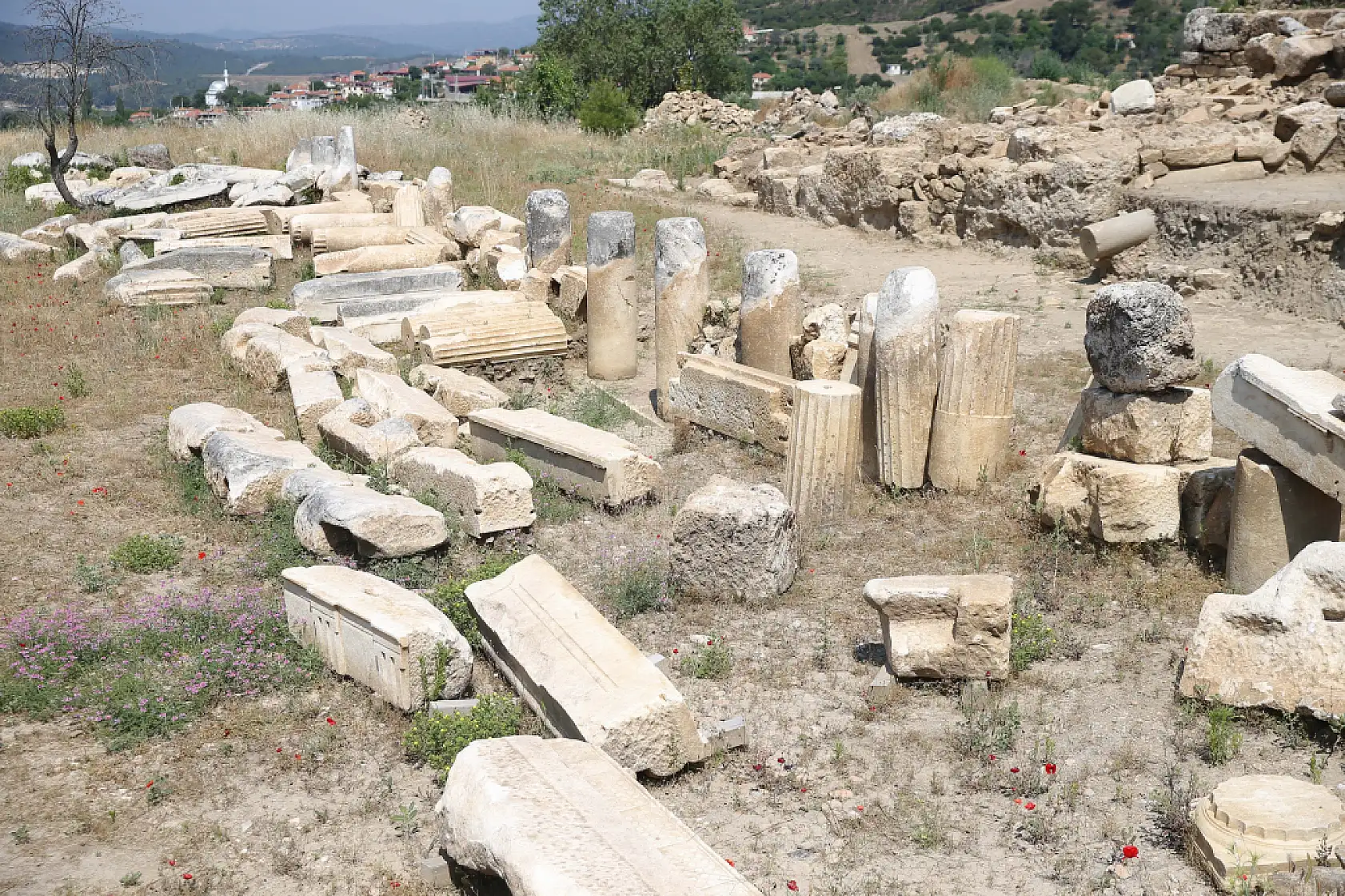Hyllarima Antik Kenti'nde agoradaki dükkanların bulunduğu alan kazılacak