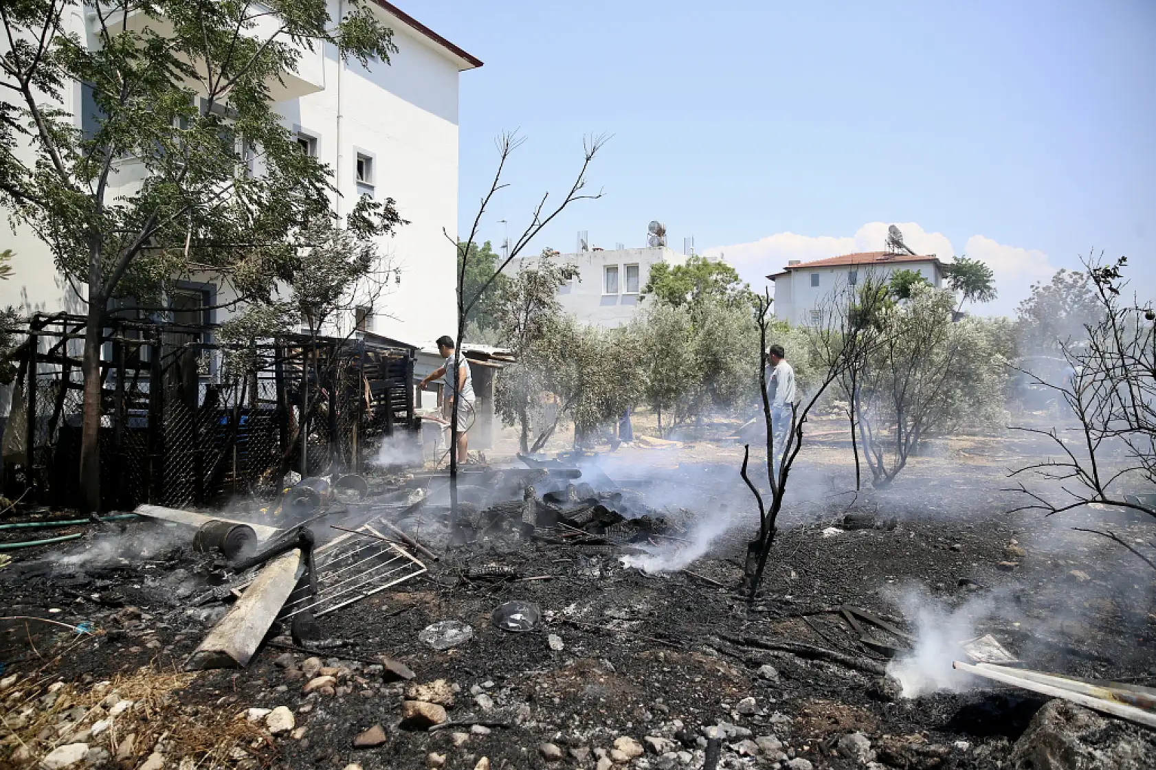 Muğla'da odunlukta başlayıp zeytinliğe sıçrayan yangın söndürüldü