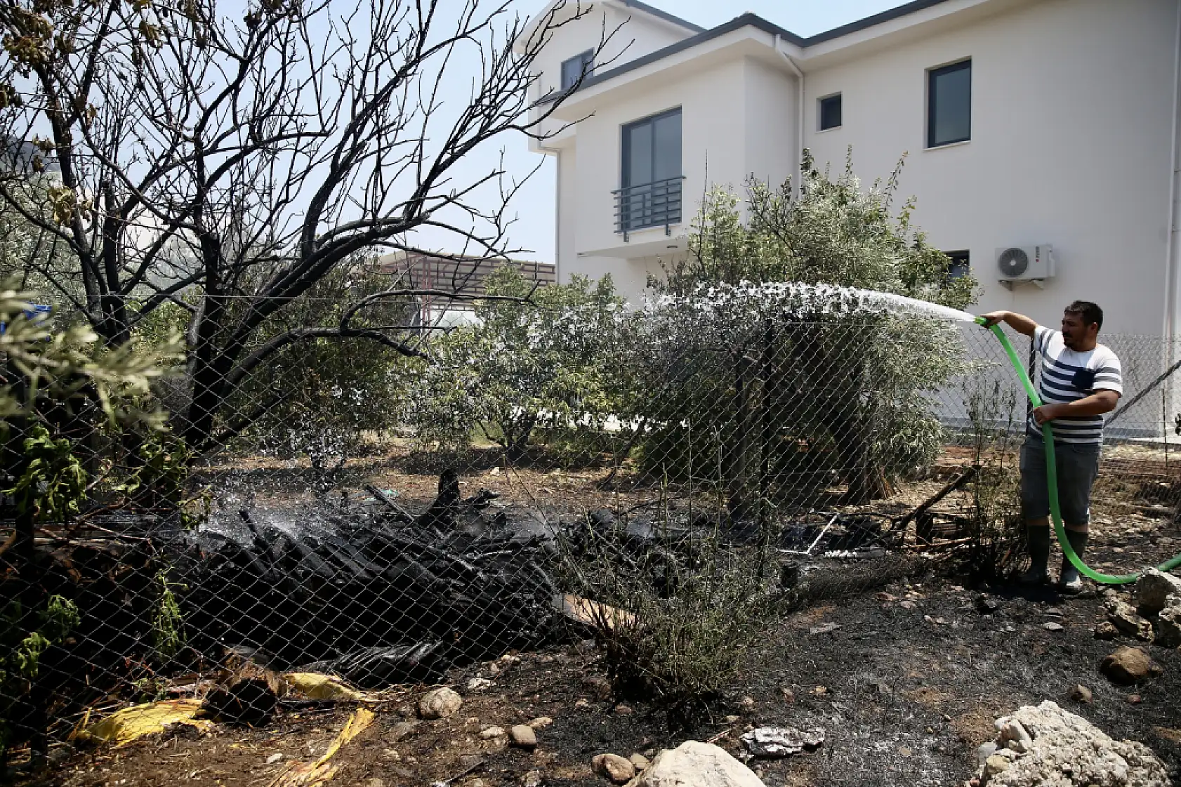 Muğla'da odunlukta başlayıp zeytinliğe sıçrayan yangın söndürüldü