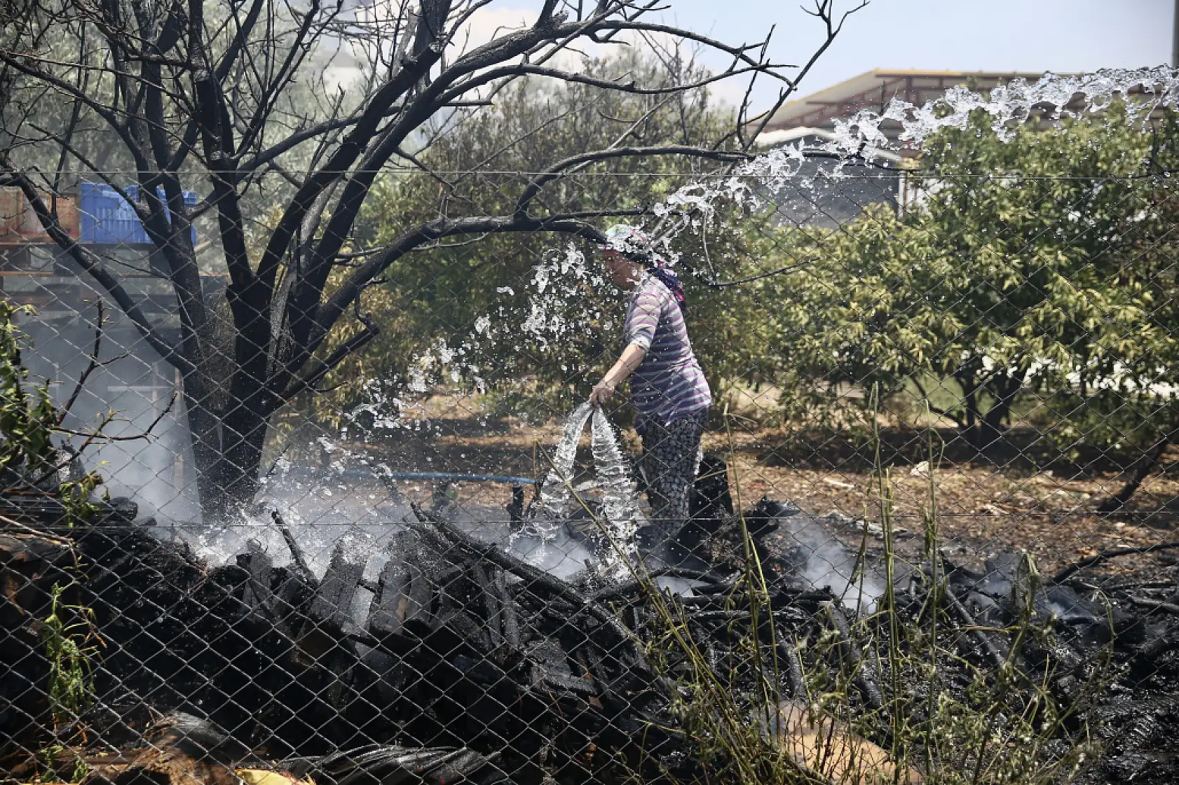Muğla'da odunlukta başlayıp zeytinliğe sıçrayan yangın söndürüldü