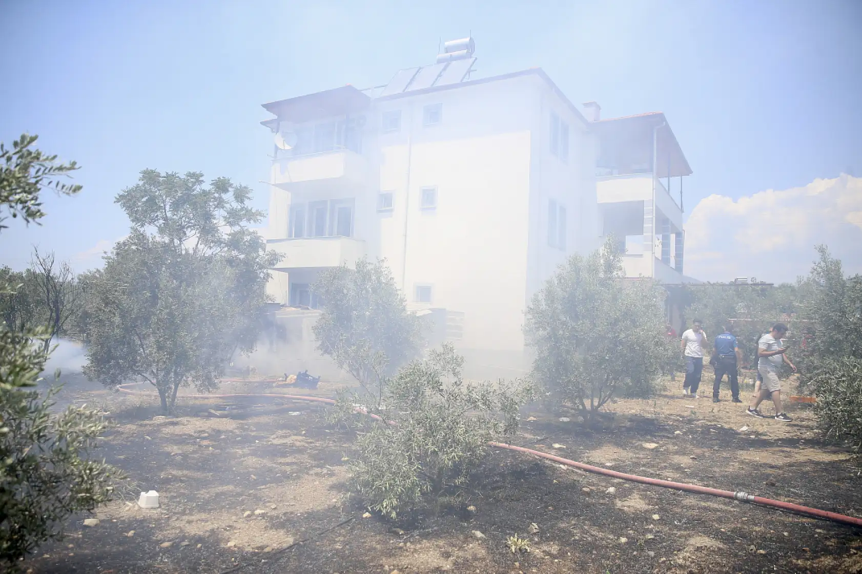 Muğla'da odunlukta başlayıp zeytinliğe sıçrayan yangın söndürüldü