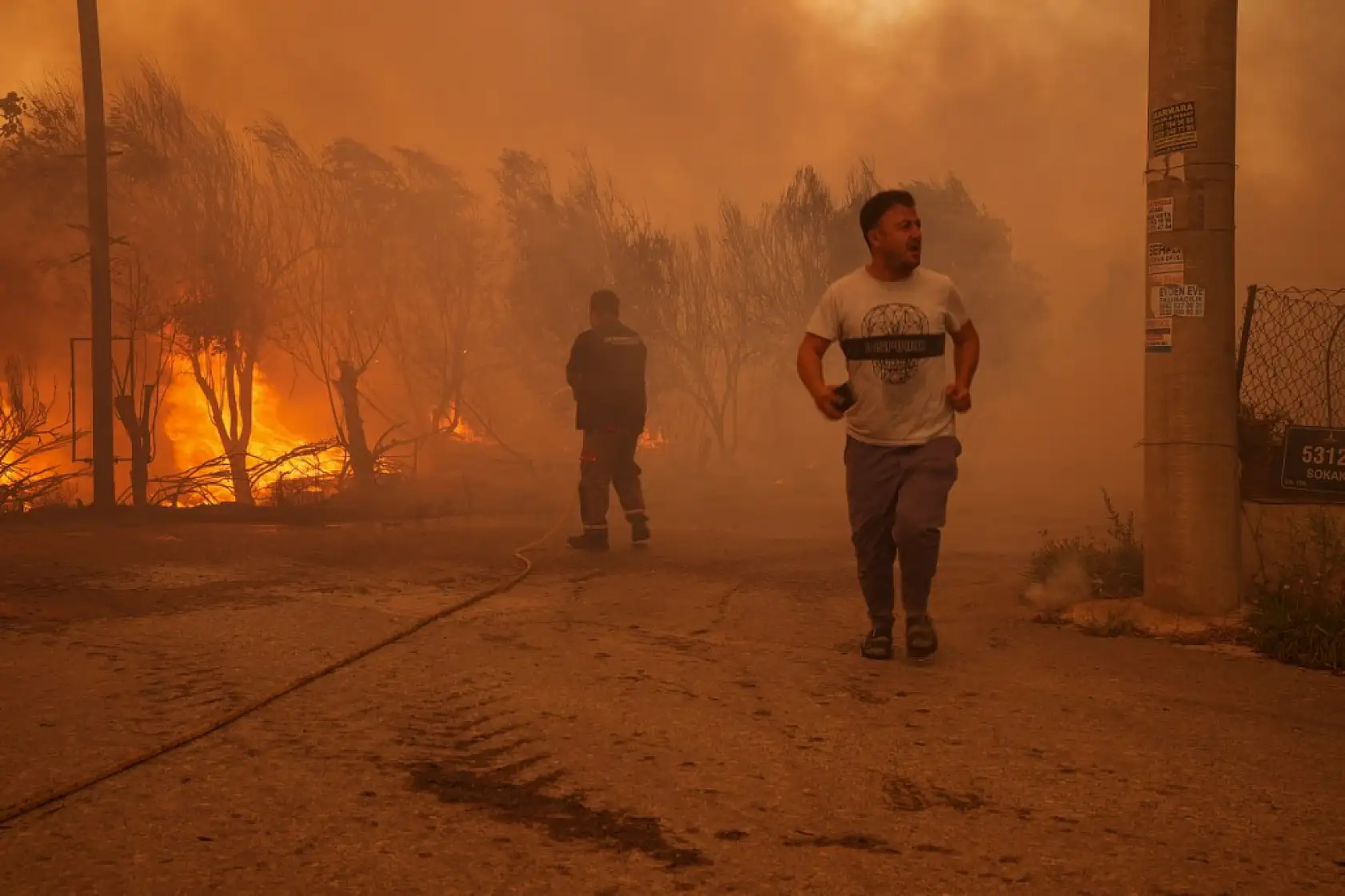 İzmir'in Menderes ve Seferihisar ilçeleri arasında orman yangını çıktı
