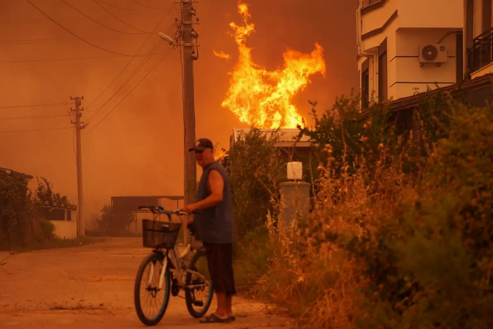 İzmir'in Menderes ve Seferihisar ilçeleri arasında orman yangını çıktı