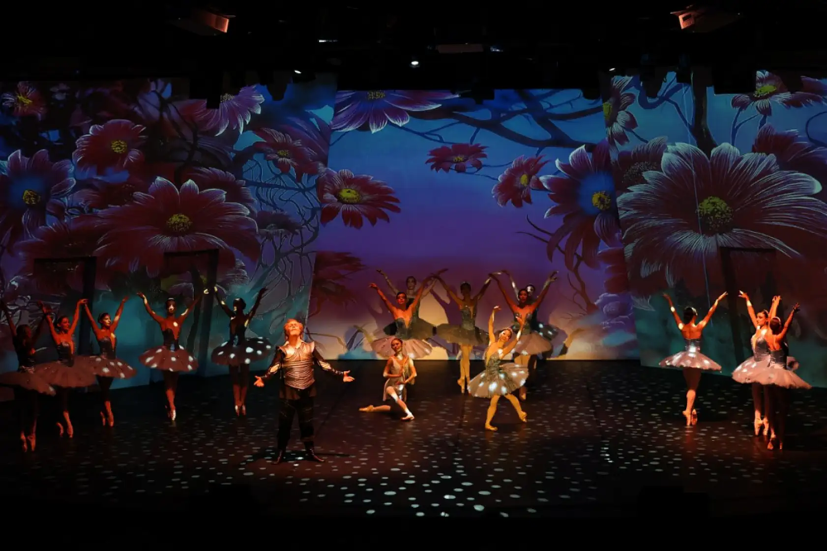 22. Uluslararası Bodrum Bale Festivali, 'Don Kişot' balesiyle devam etti