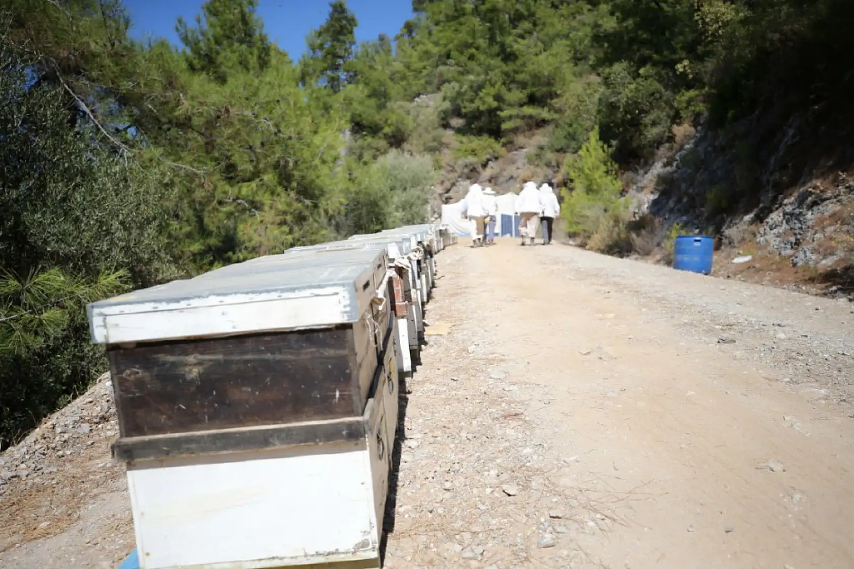 Bodrum'da baba oğul ata mesleği arıcılığı ürün çeşitlendirmesiyle sürdürüyor