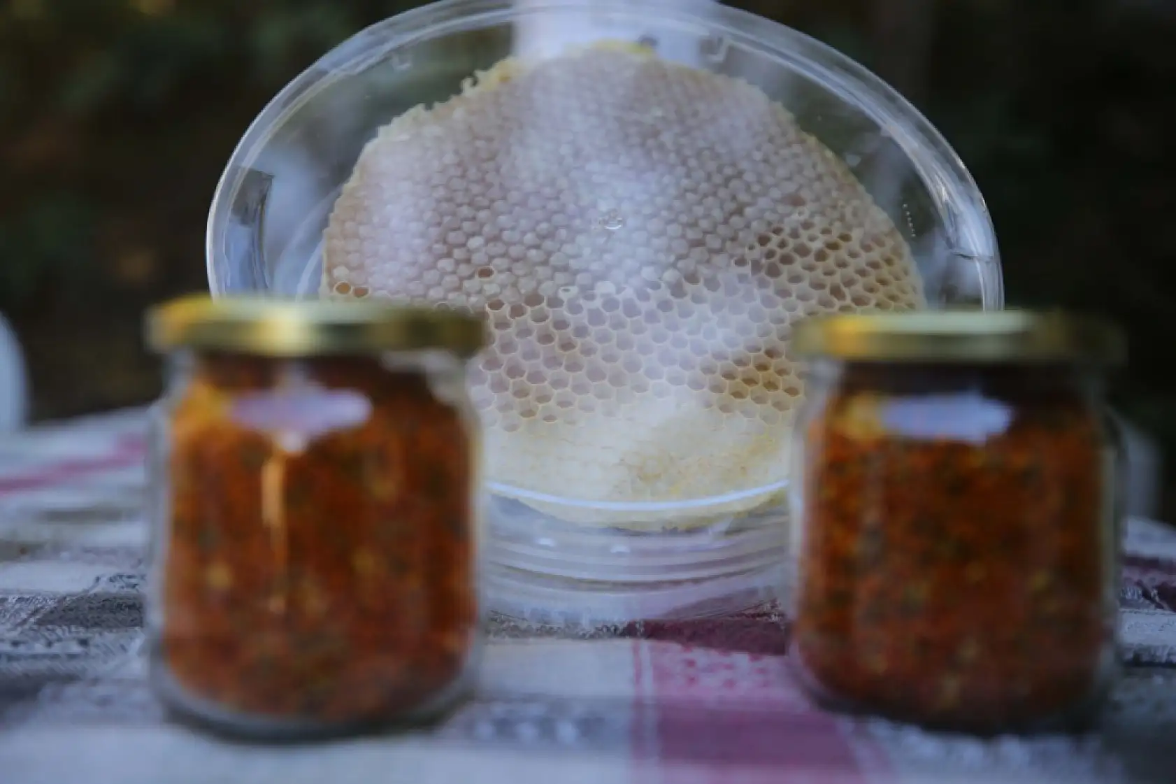 Bodrum'da baba oğul ata mesleği arıcılığı ürün çeşitlendirmesiyle sürdürüyor