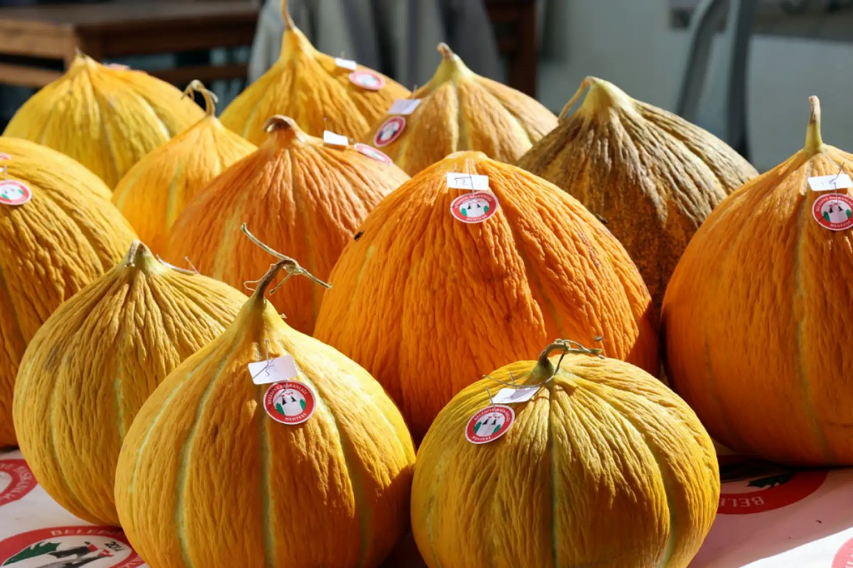 Muğla'da 'Yayla Kavunu Yarışması' düzenlendi