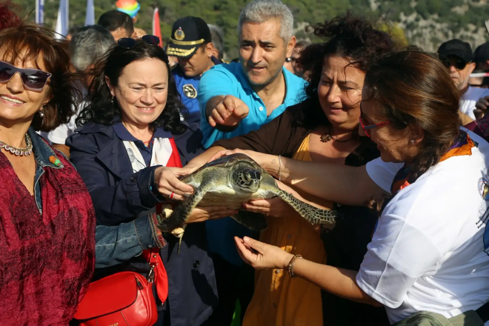 Muğla'da tedavileri tamamlanan deniz kaplumbağaları denizle buluştu