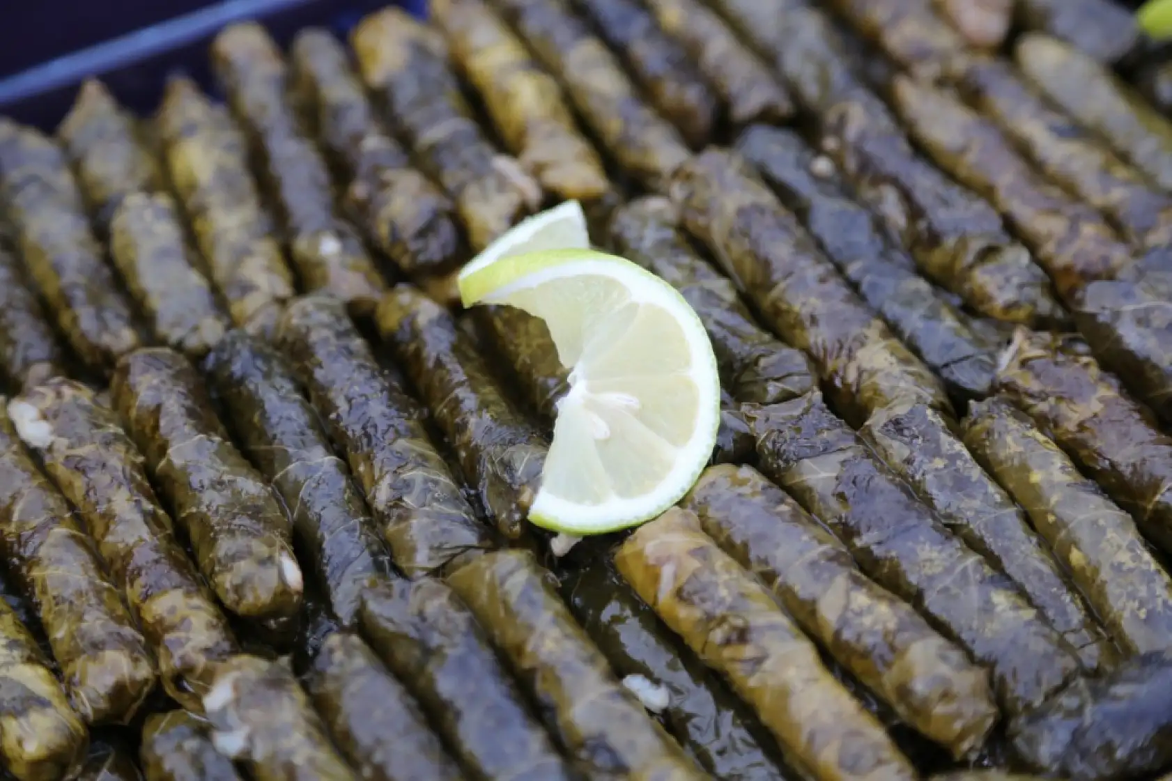 Muğla'da '11. Uluslararası Milas Zeytin Hasat Şenliği' sona erdi