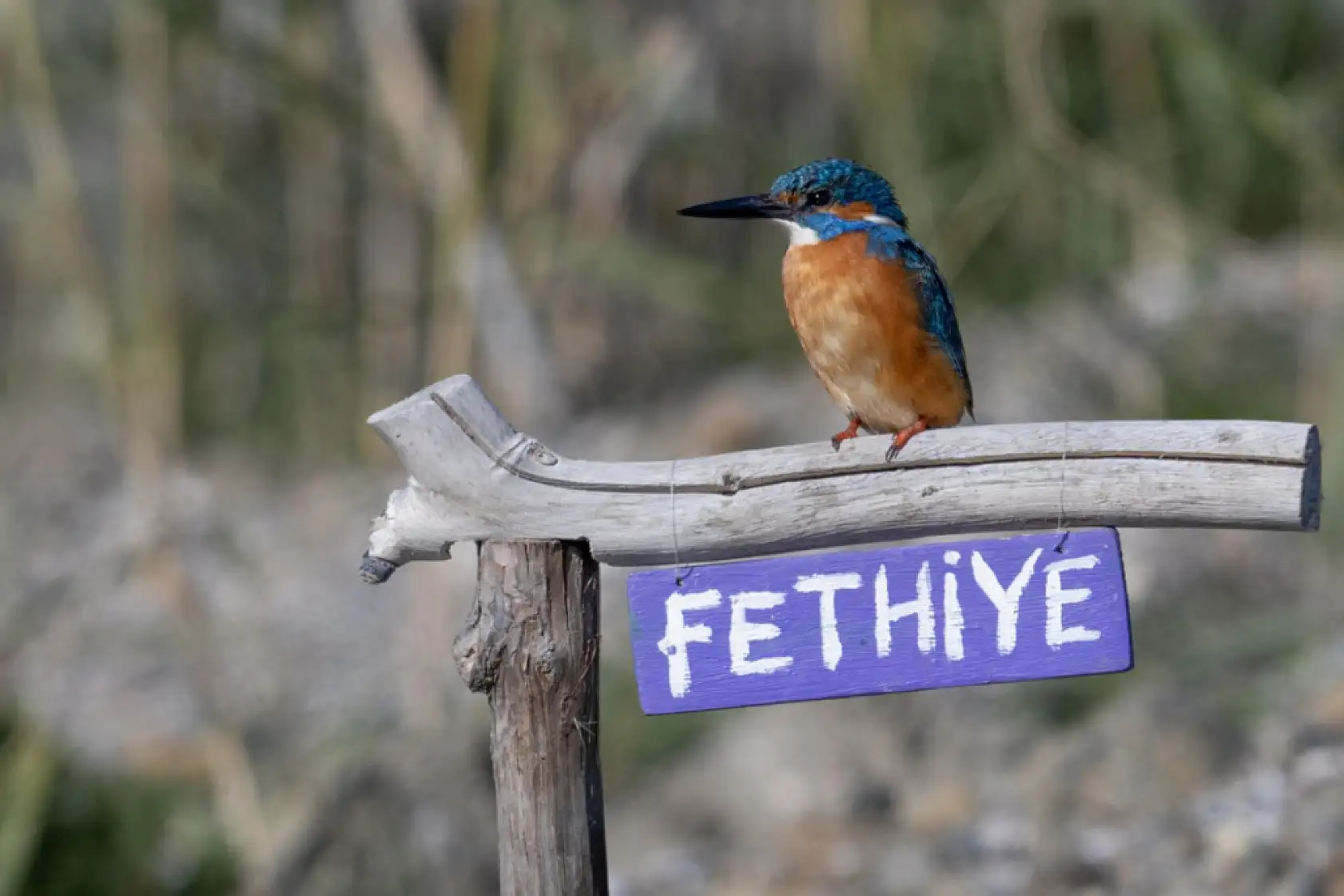 Muğla ve İlçelerinde 15 Ocak Perşembe Hava Durumu