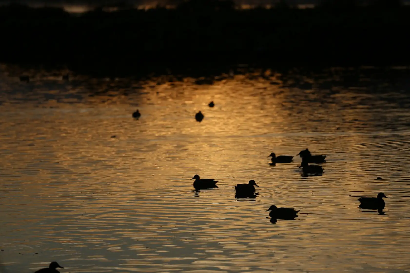 Muğla'da 24 Kasım Hava Durumu: Sıcaklık ve Yağış Tahminleri