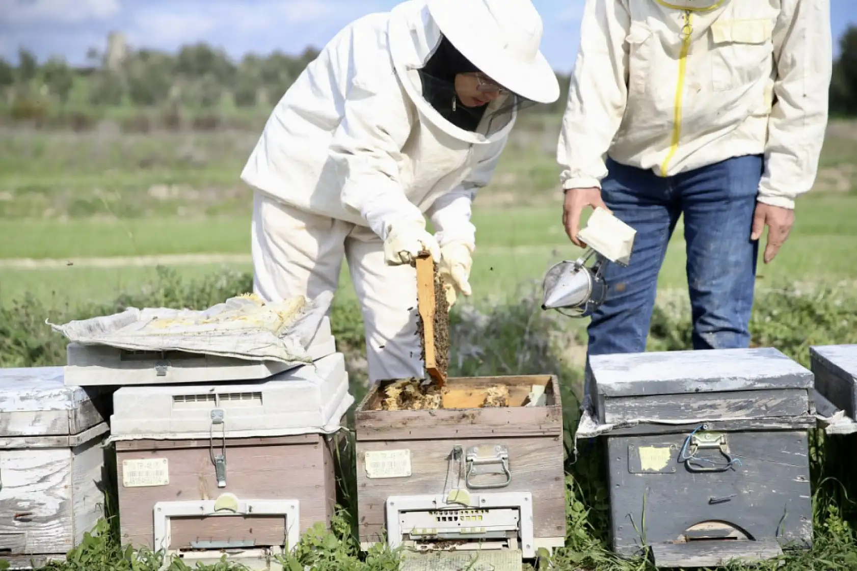 Seydikemerli genç baba mesleği arıcılığı sürdürmek için çalışıyor