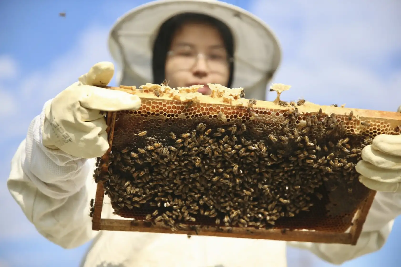Seydikemerli genç baba mesleği arıcılığı sürdürmek için çalışıyor