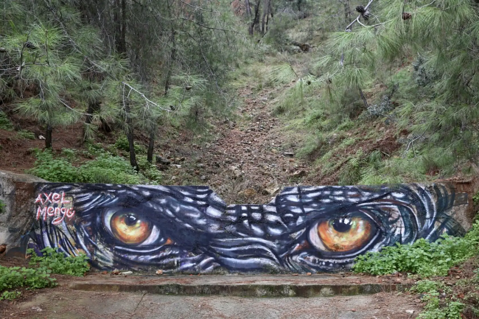 'Grafiti' sanatçısı Axel Mengü, Fethiye'ye renk katıyor