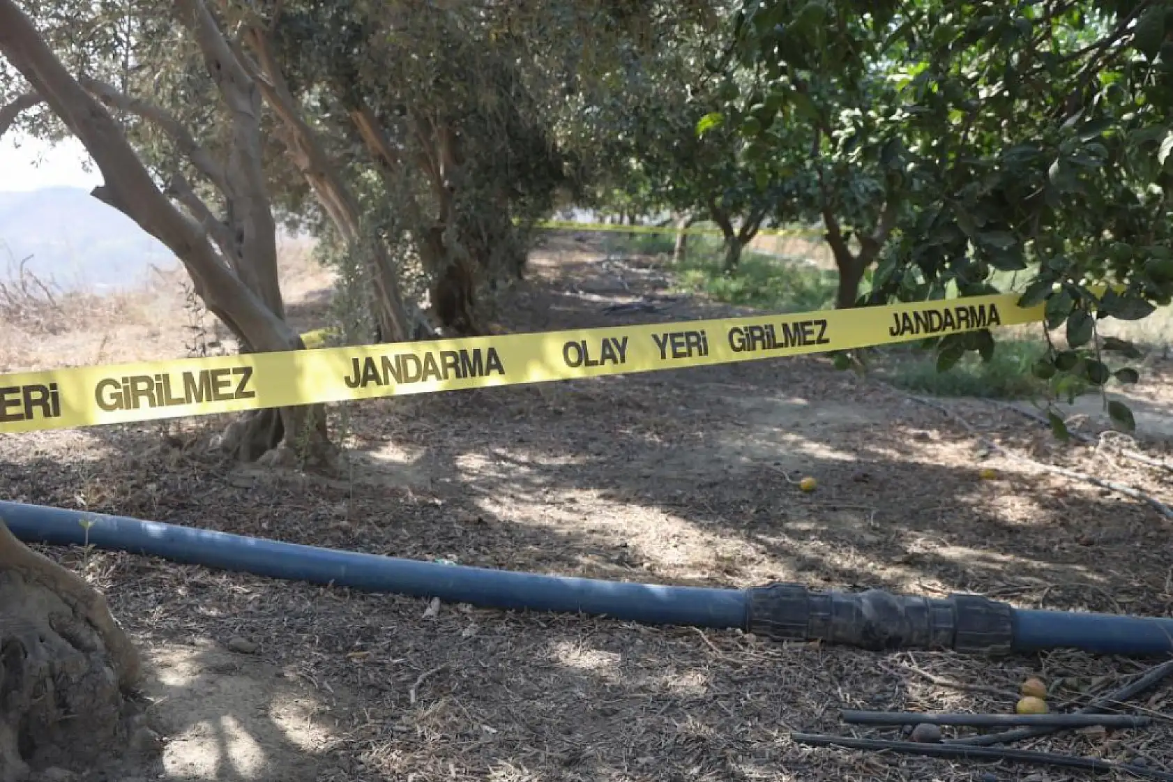 Para için arkadaşını narenciye bahçesinde satırla doğrayan şahıs yakalandı