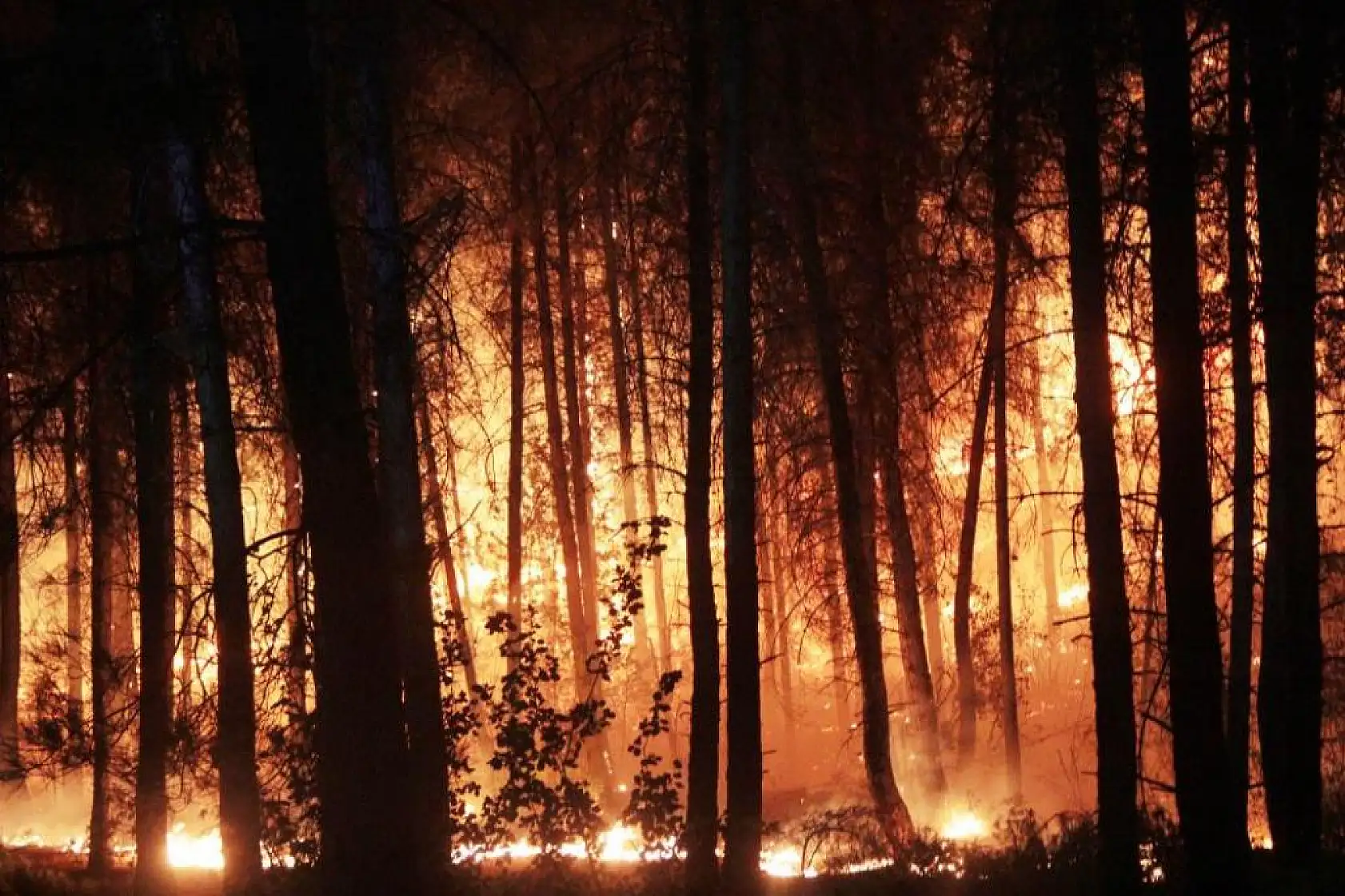 502 yangında 819 hektar alan yandı