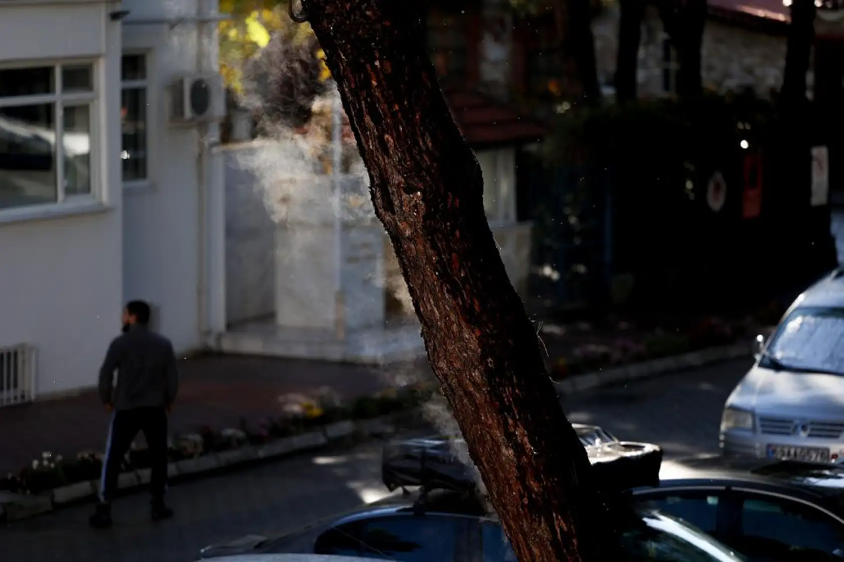 Yağmur yağdı, ağaçtan buhar çıktı