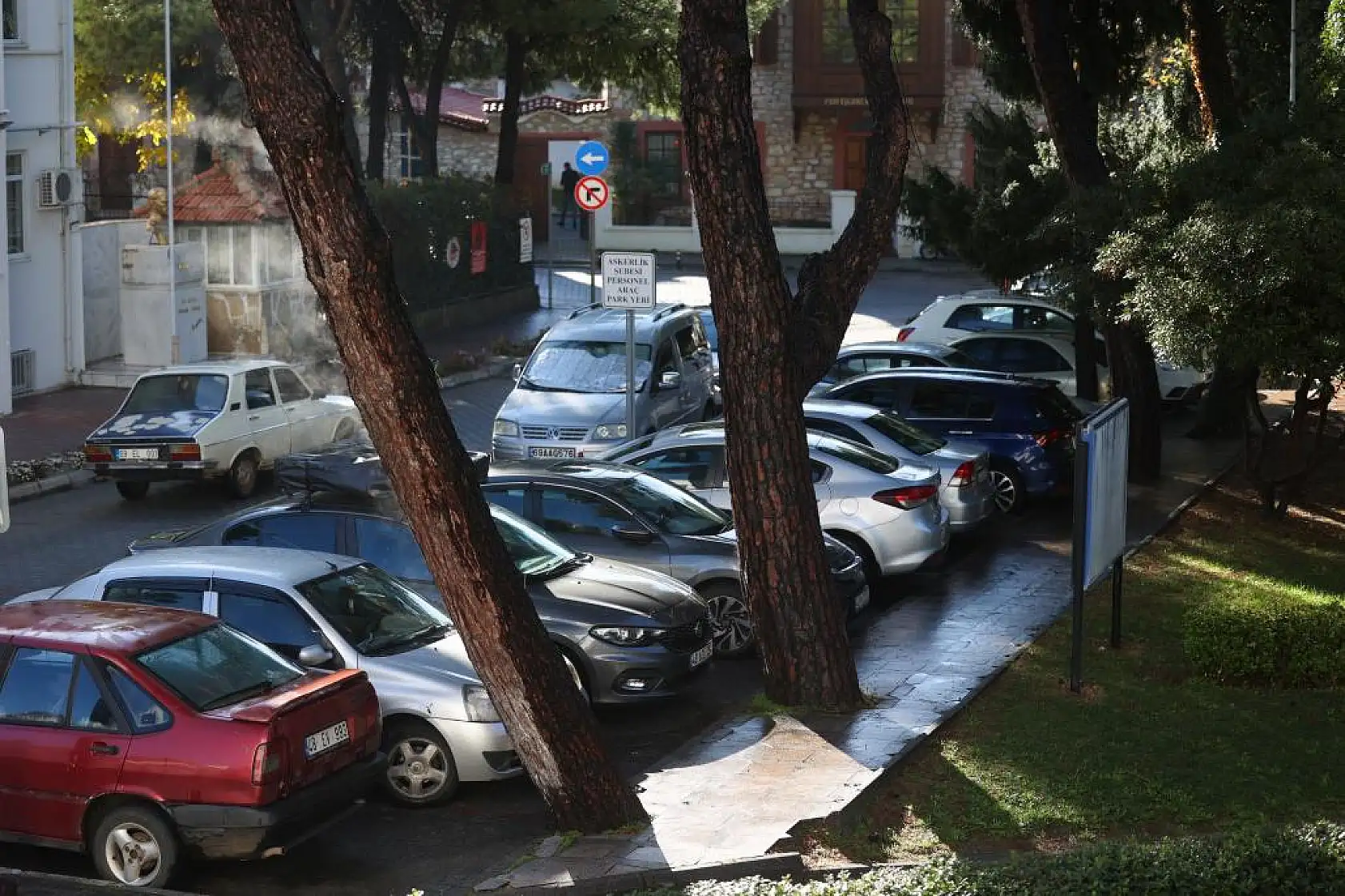 Yağmur yağdı, ağaçtan buhar çıktı