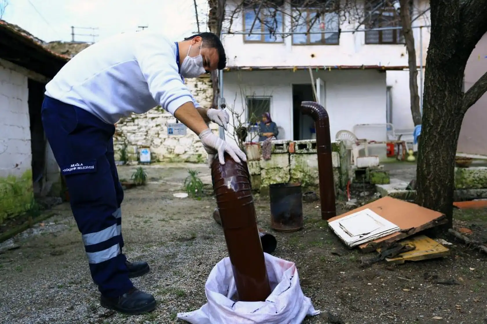 Kırsaldaki çınarlara yerinde hizmet