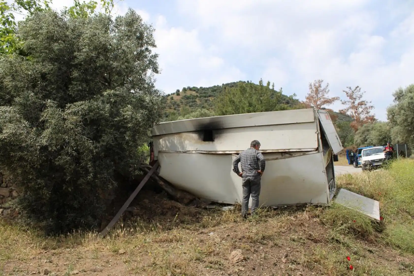 Seyyar pideciyi ölümden zeytin ağacı kurtardı