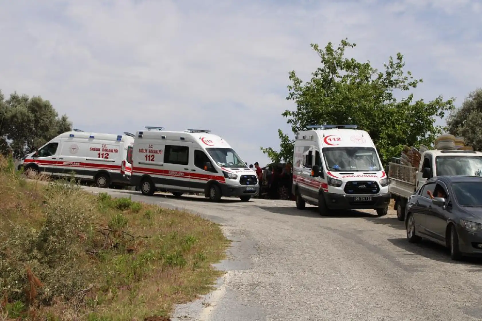 Seyyar pideciyi ölümden zeytin ağacı kurtardı