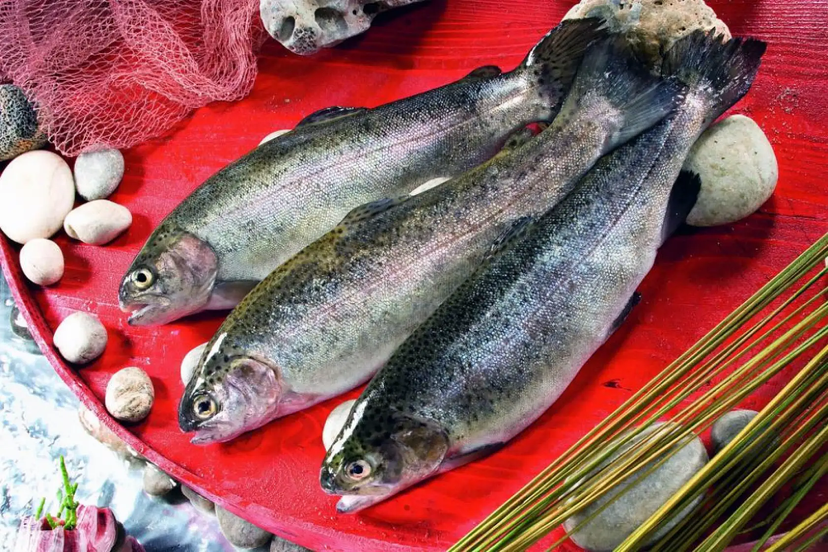 Ege'de tarımsal ürünler ihracatının lideri su ürünleri