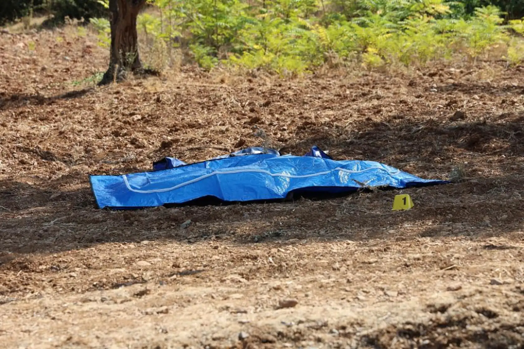 İzmir'deki vahşette flaş gelişme: 3 çocuğunu katleden baba da öldü