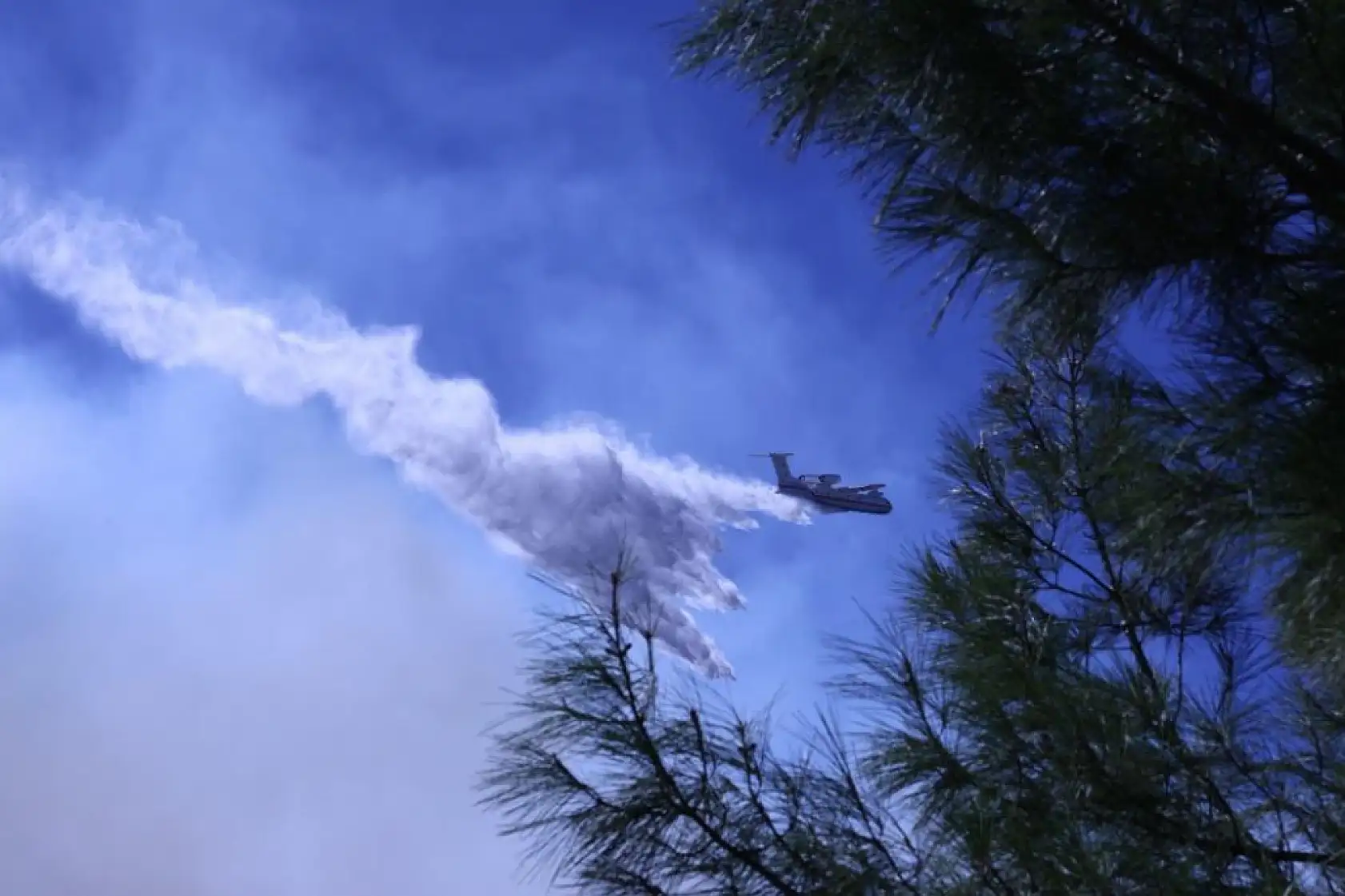 Dalaman'daki orman yangını kontrol altına alındı