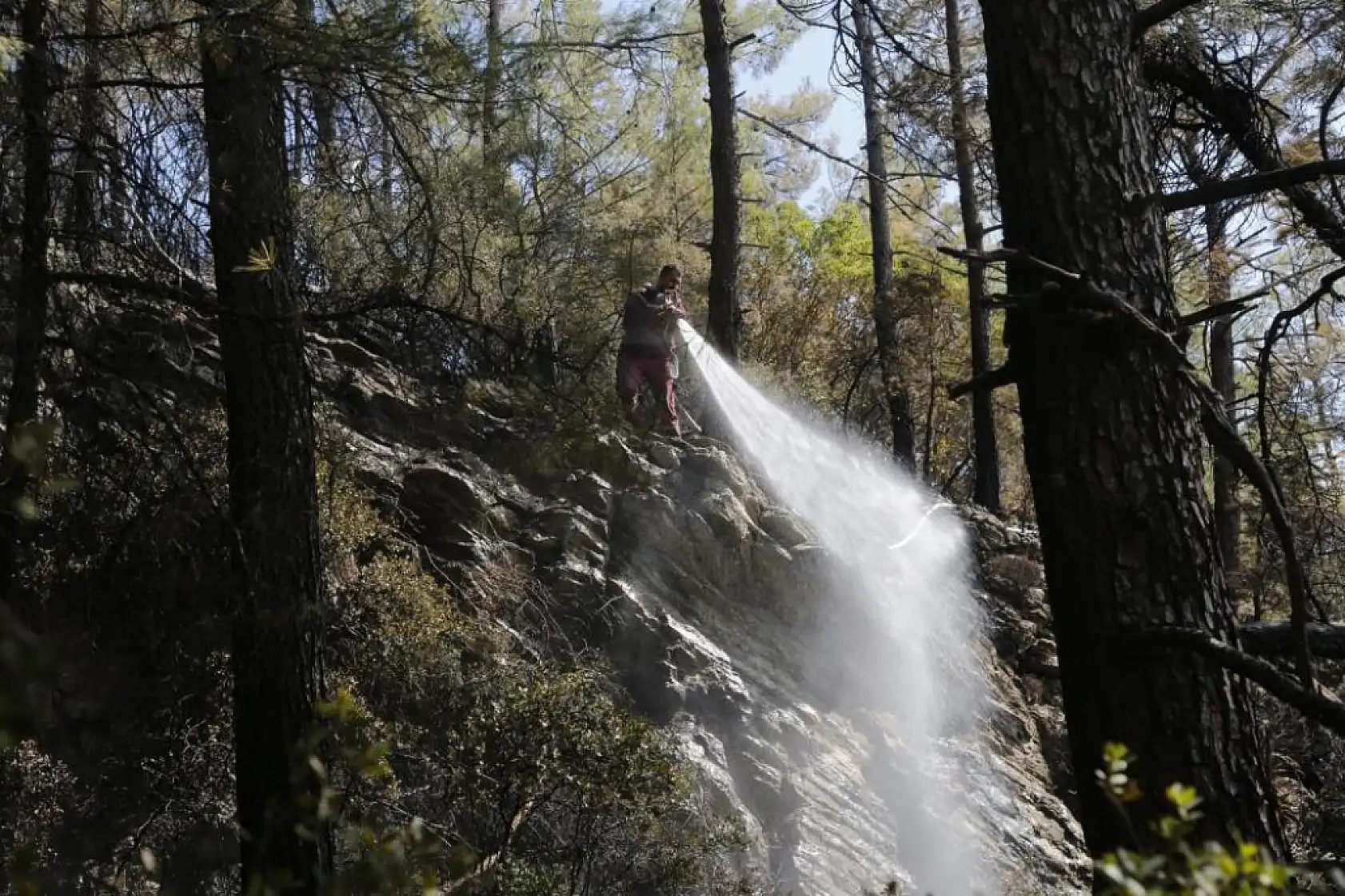 Menteşe'deki orman yangını kontrol altına alındı