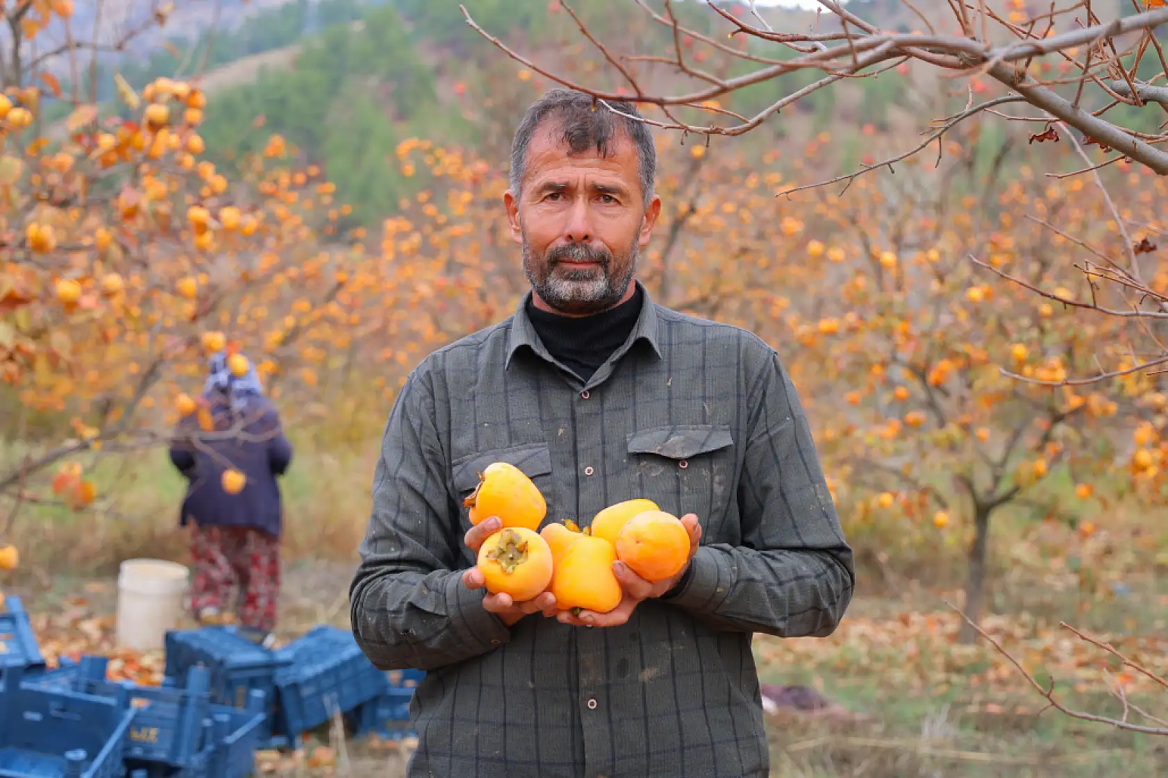 Bahçede 25, markette 80 lira
