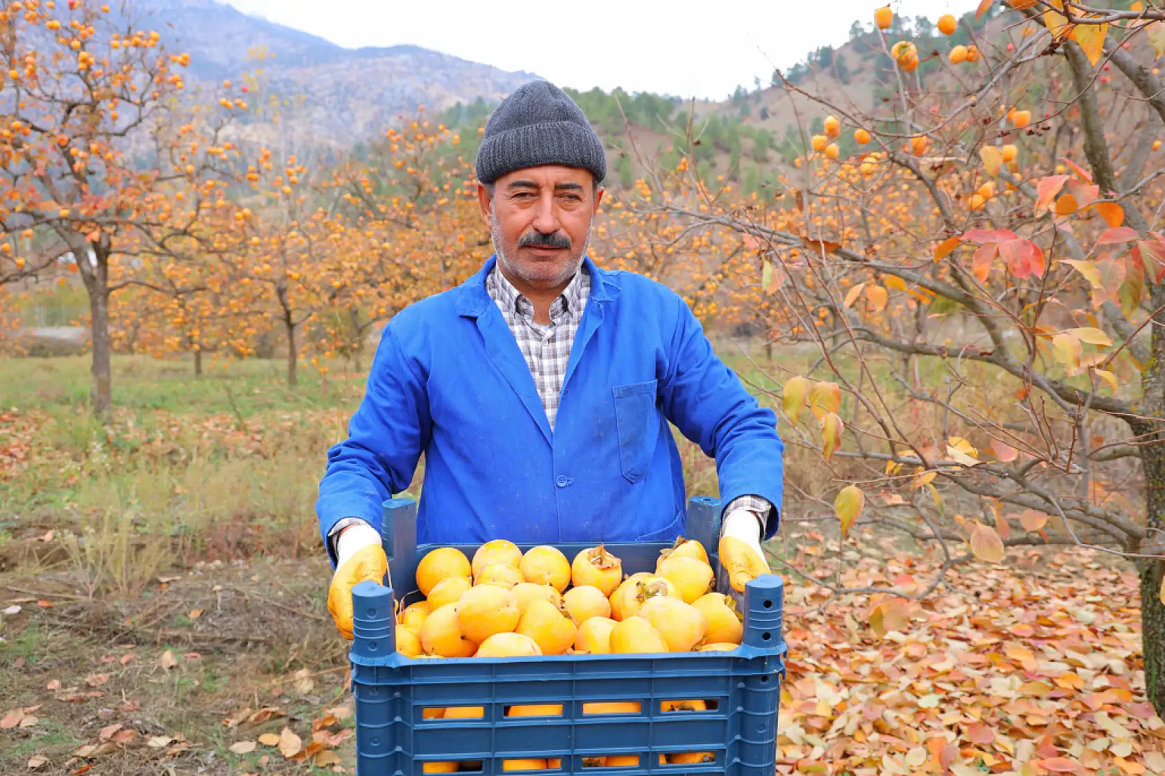 Bahçede 25, markette 80 lira